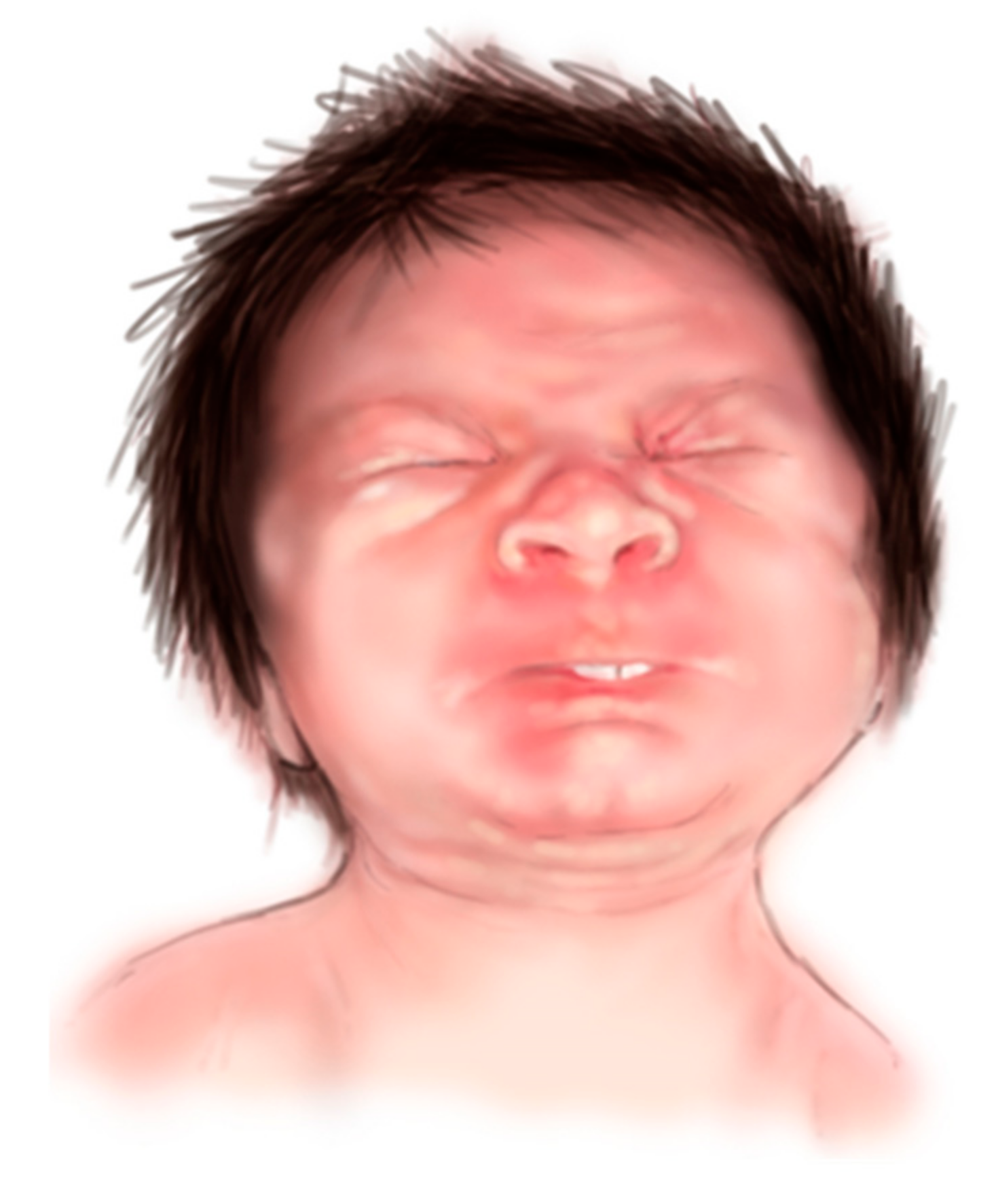 Diagnostics 15 00521 g001