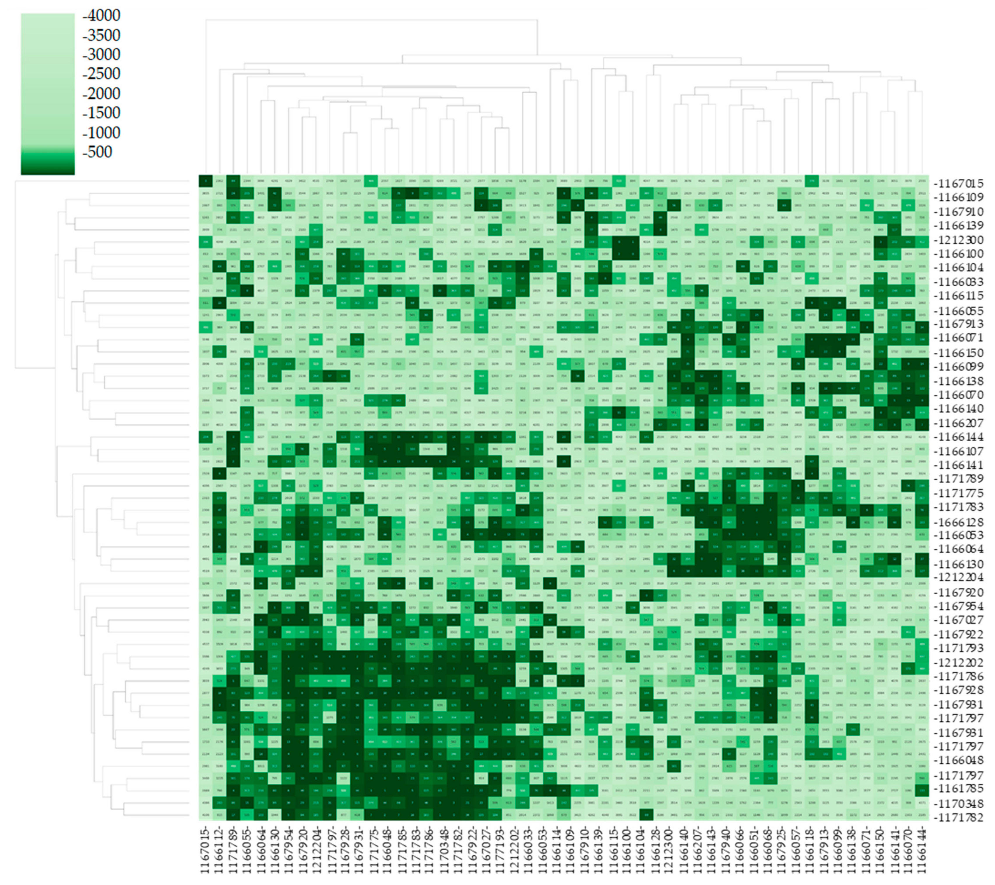Diagnostics 15 00521 g007