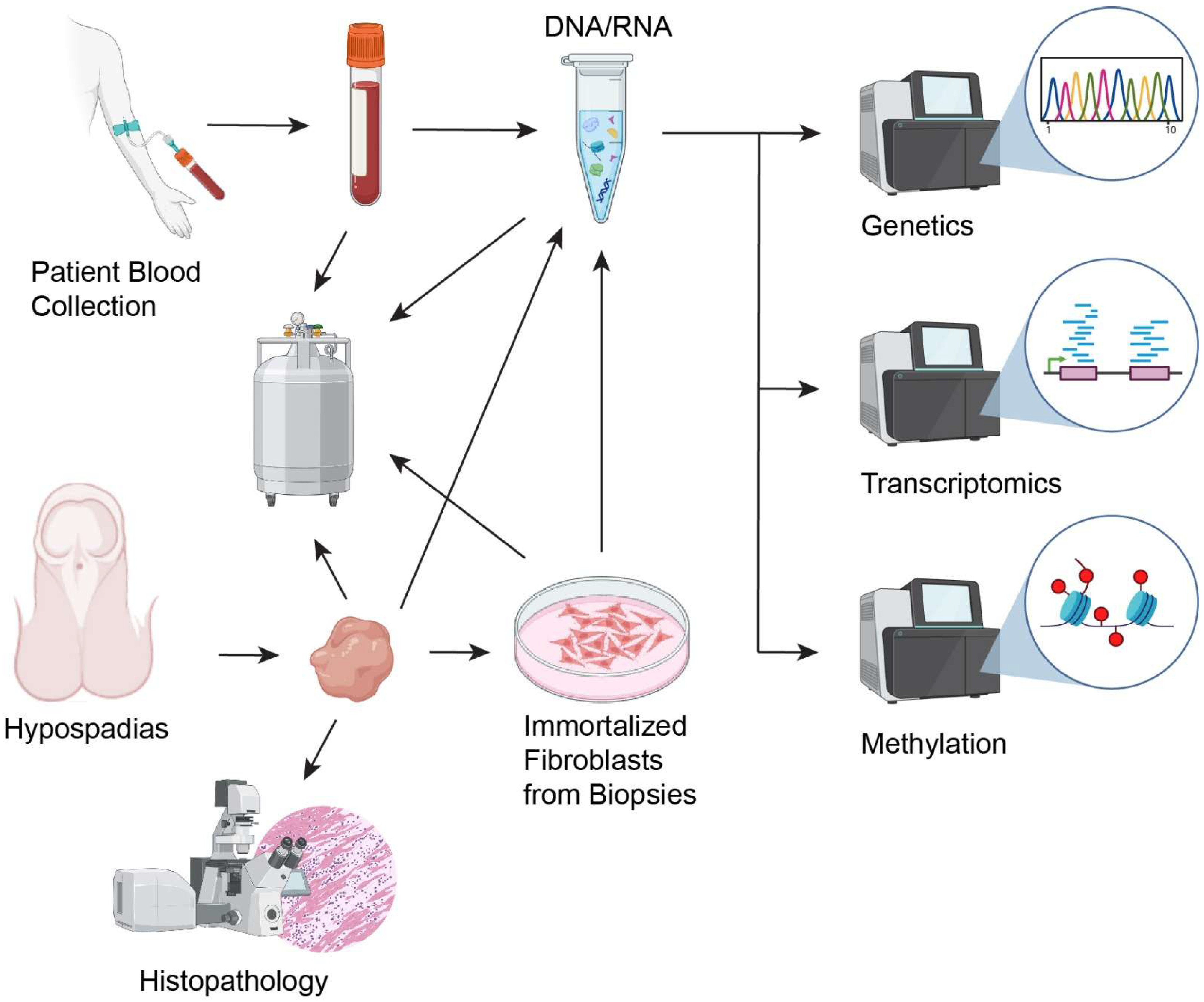 Diagnostics 15 00561 g002 Diagnostics 15 00561 g002