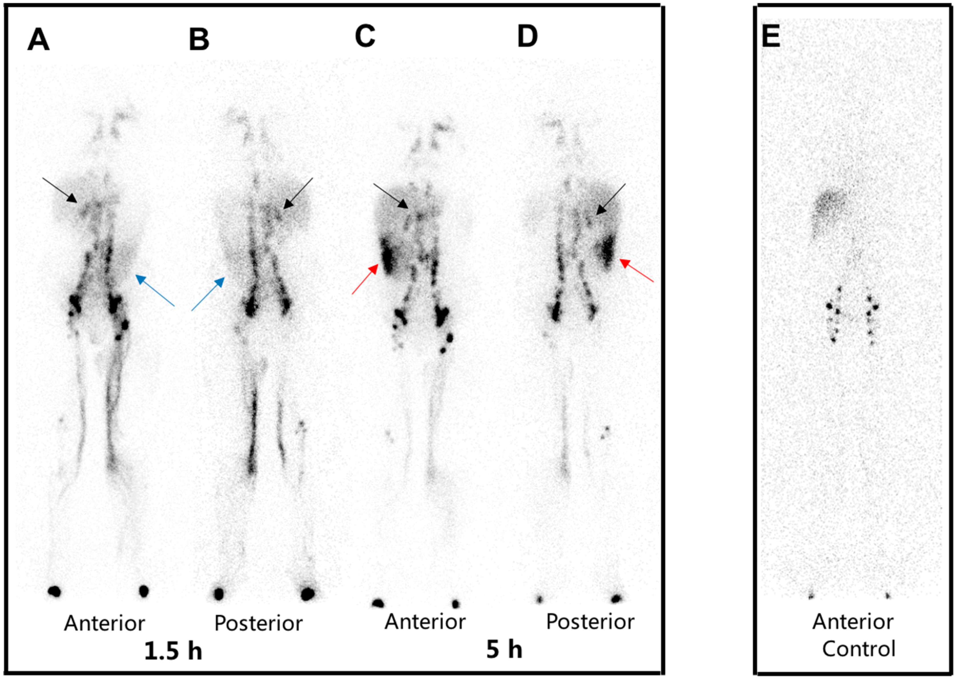 Diagnostics 15 00583 g001