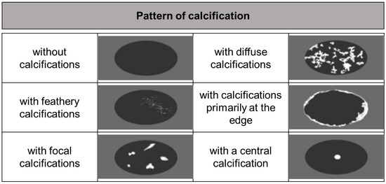 Diagnostics 15 00585 g006