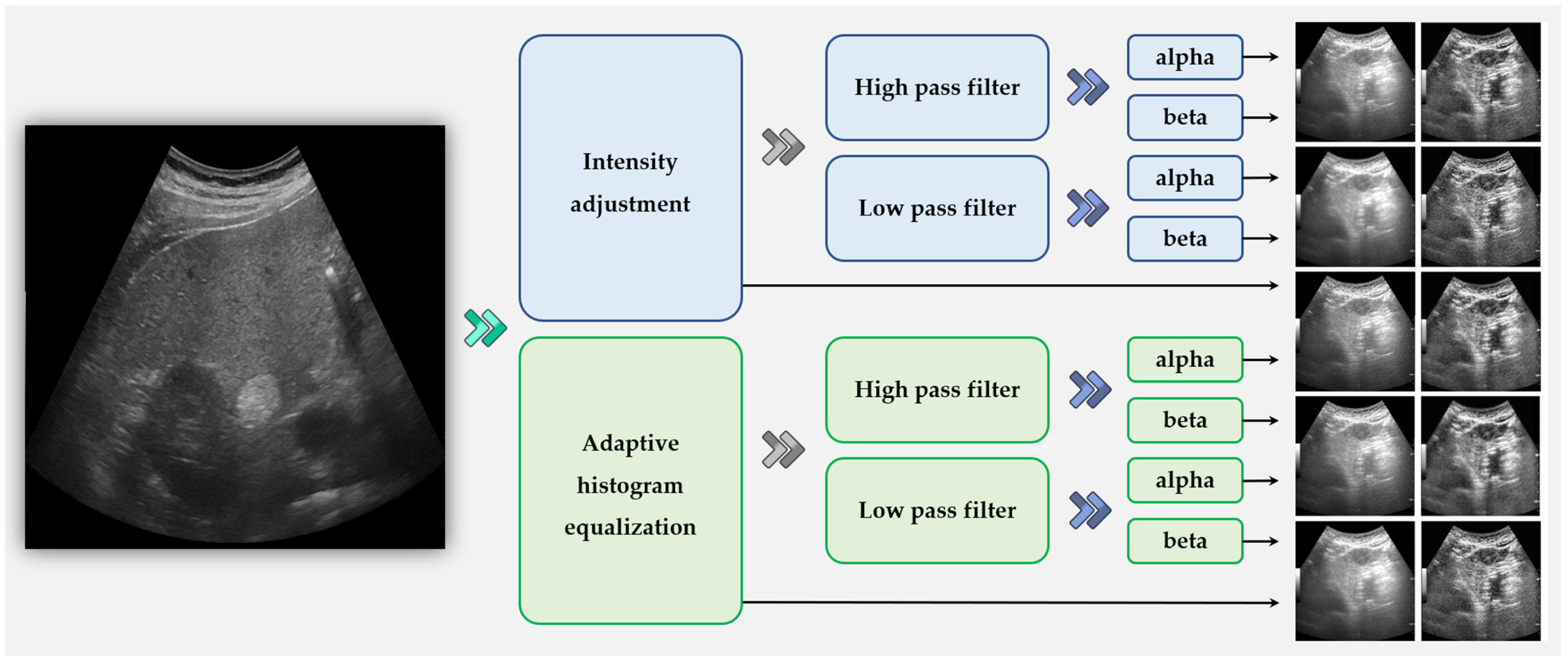 Diagnostics 15 00588 g003