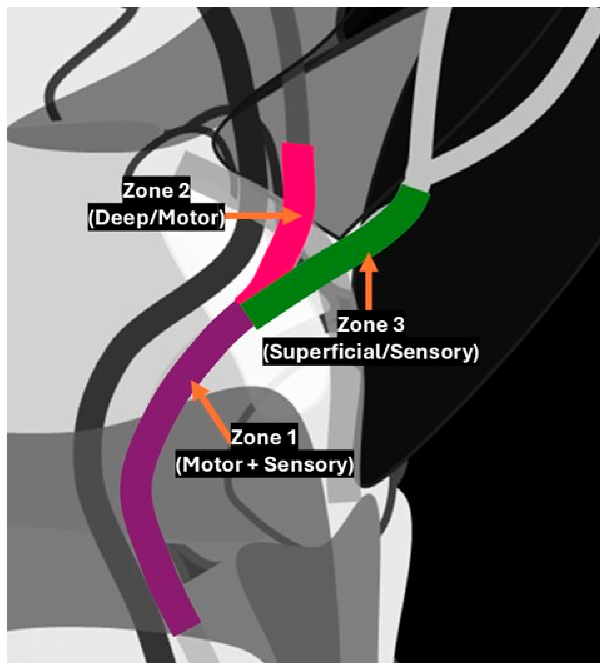 Diagnostics 15 00592 g002