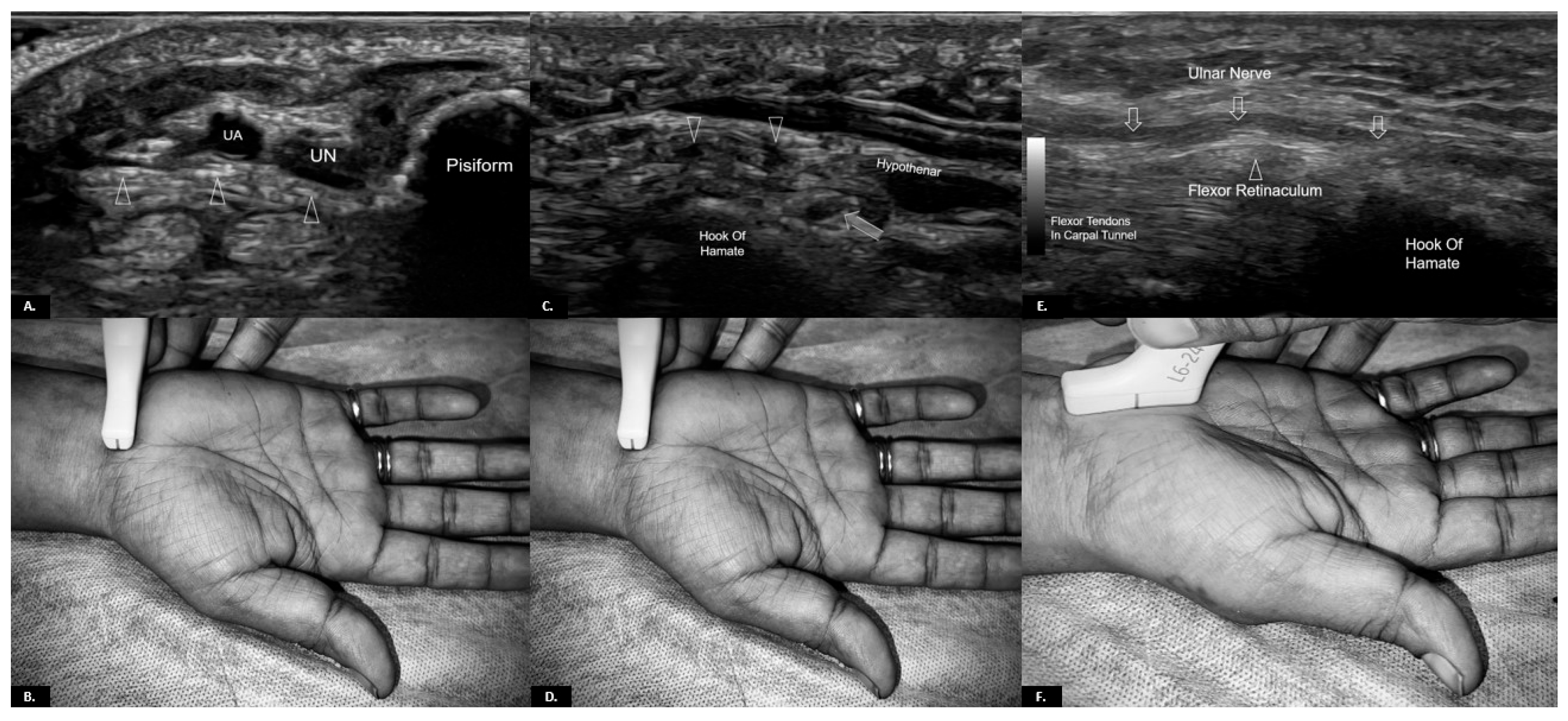Diagnostics 15 00592 g003