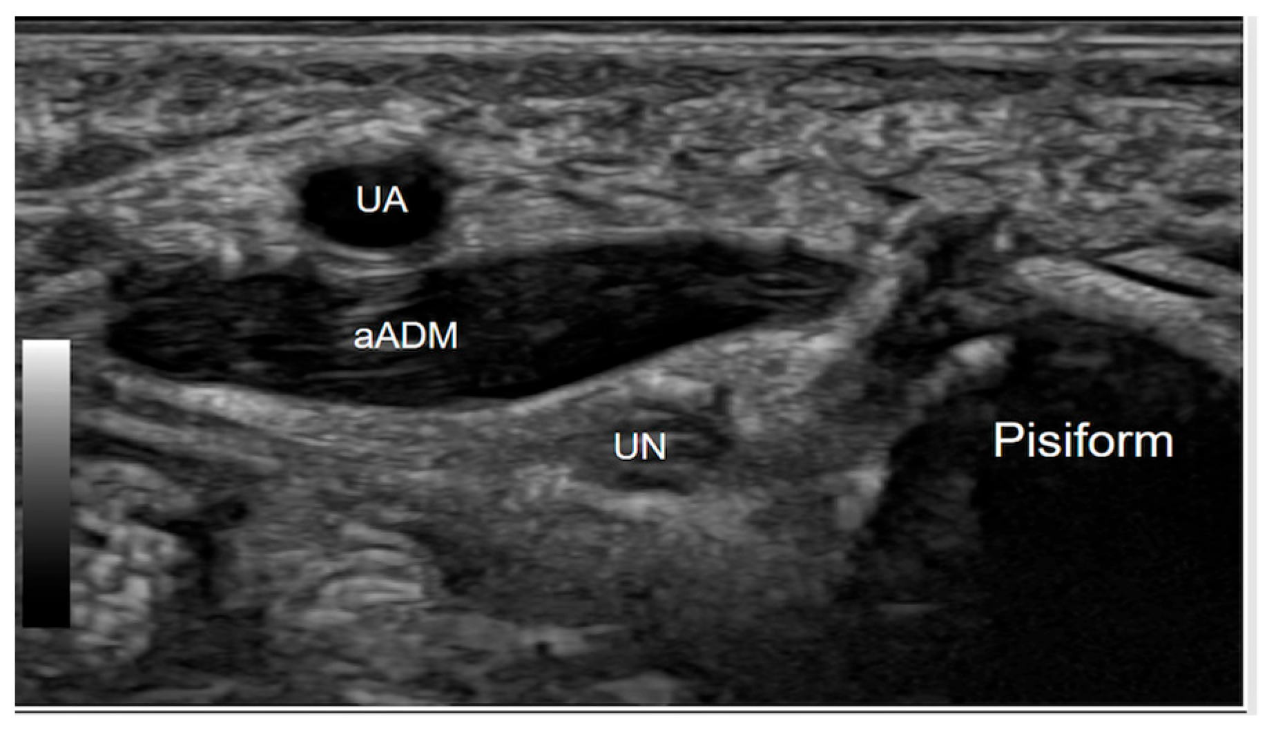 Diagnostics 15 00592 g004