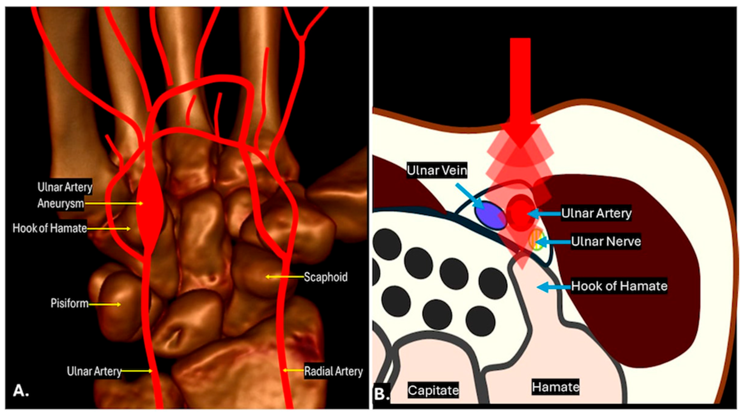 Diagnostics 15 00592 g005