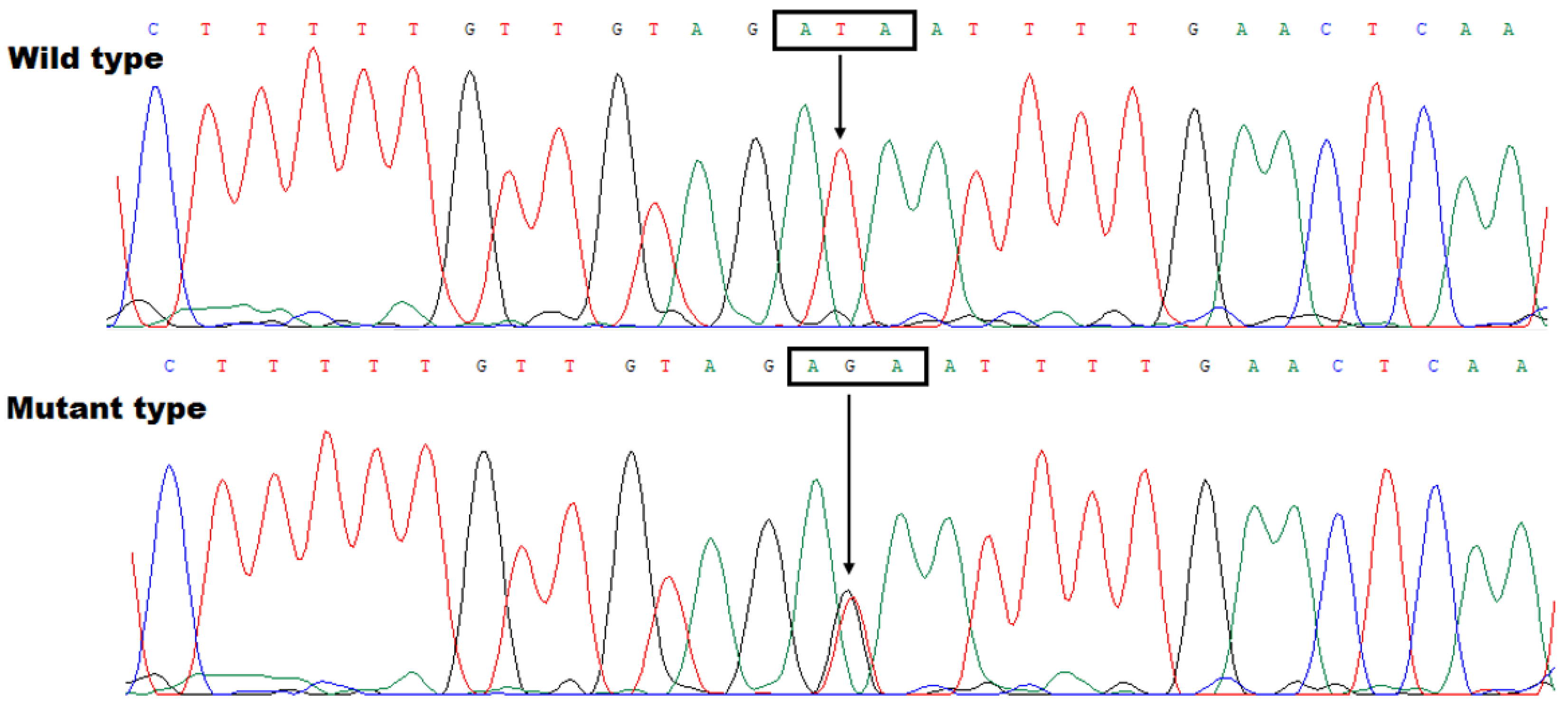 Diagnostics 15 00600 g003 Diagnostics 15 00600 g003