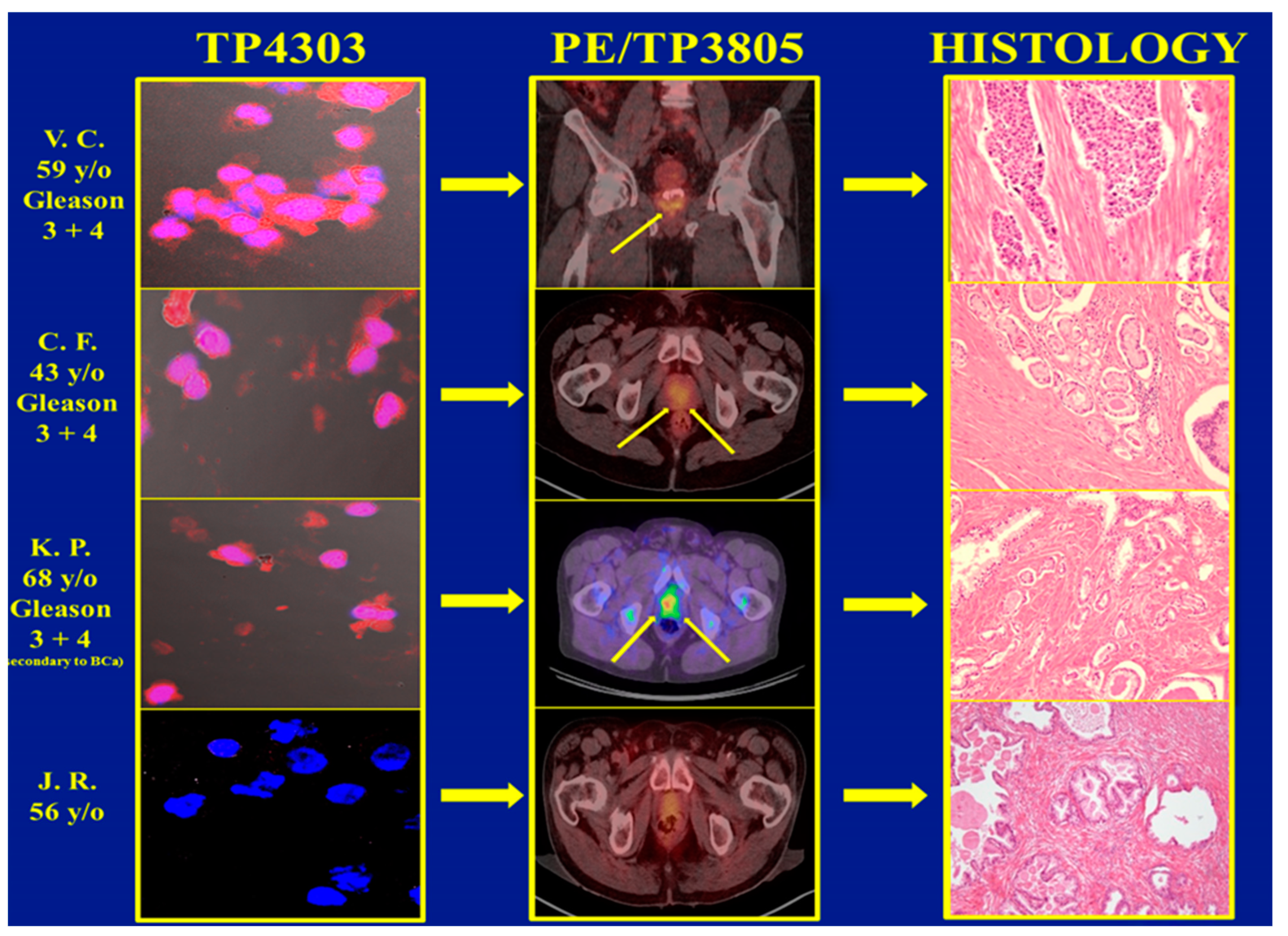 Diagnostics 15 00607 g003