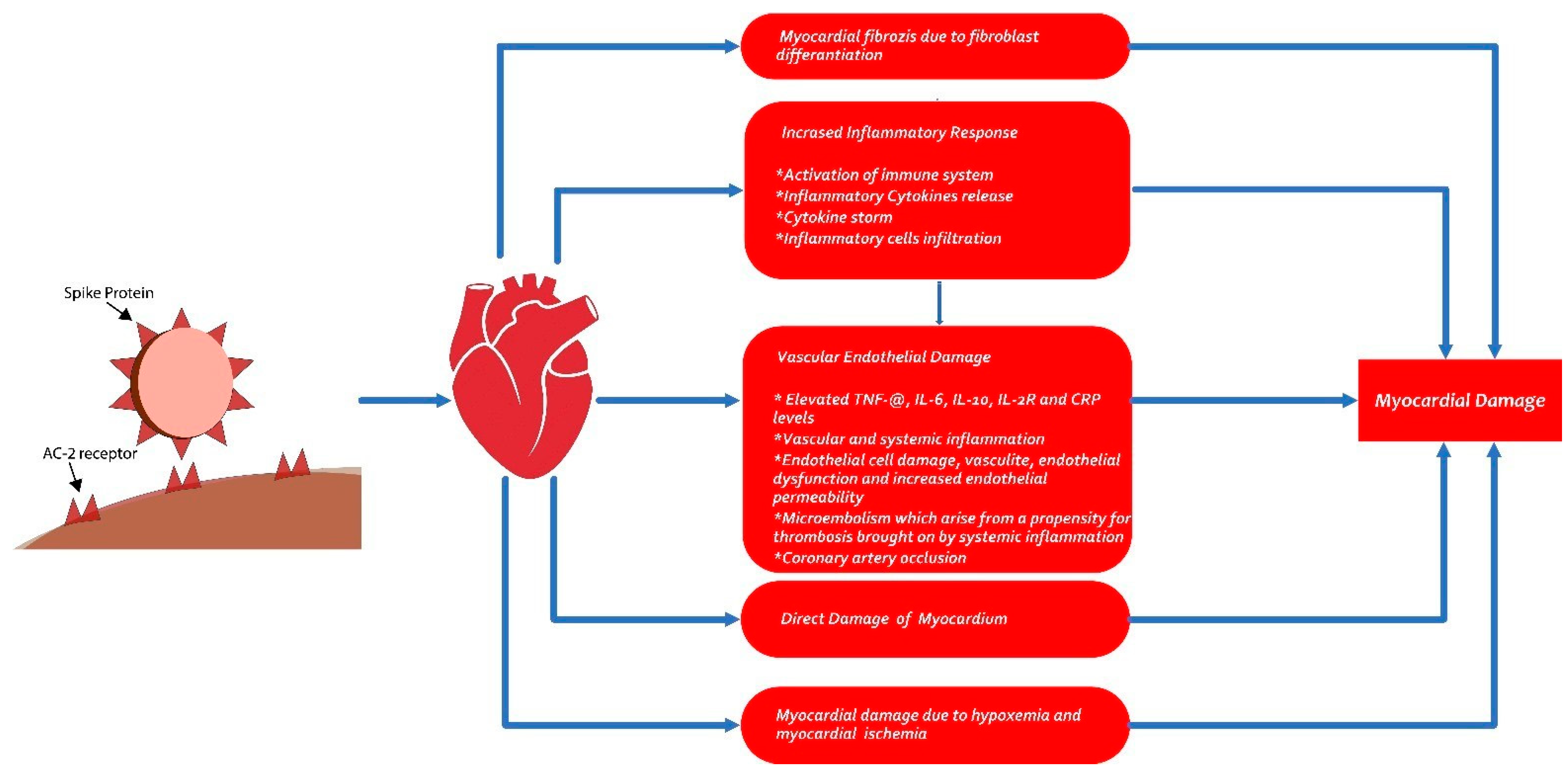 Diagnostics 15 00621 g005
