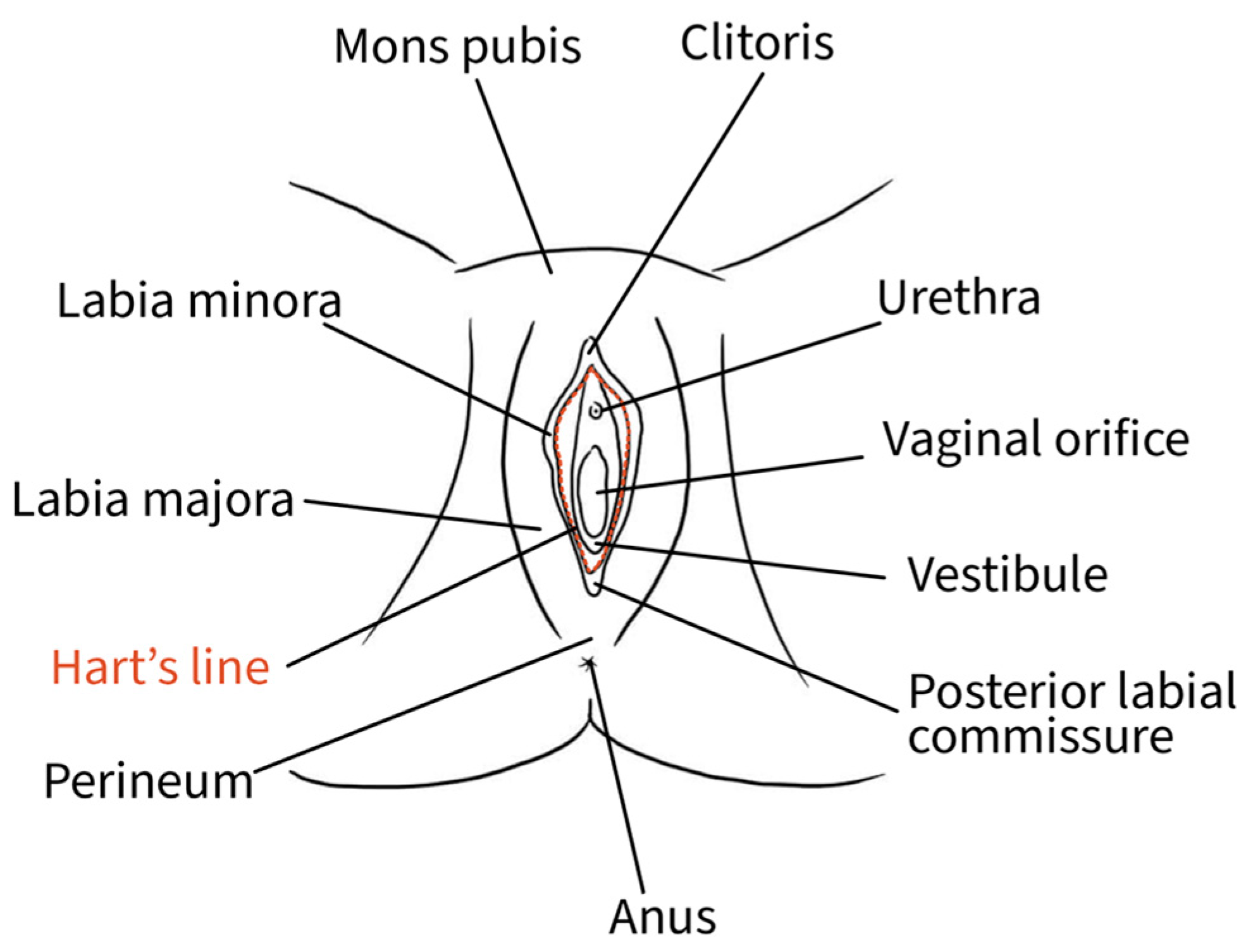 Diagnostics 15 00627 g002