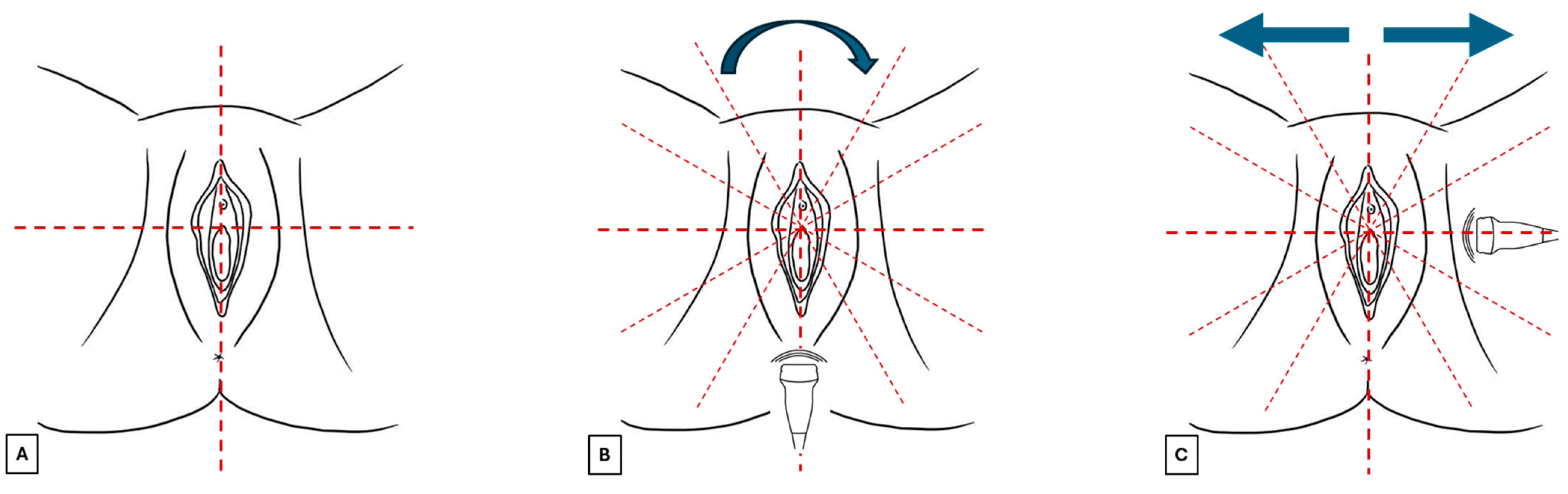 Diagnostics 15 00627 g003