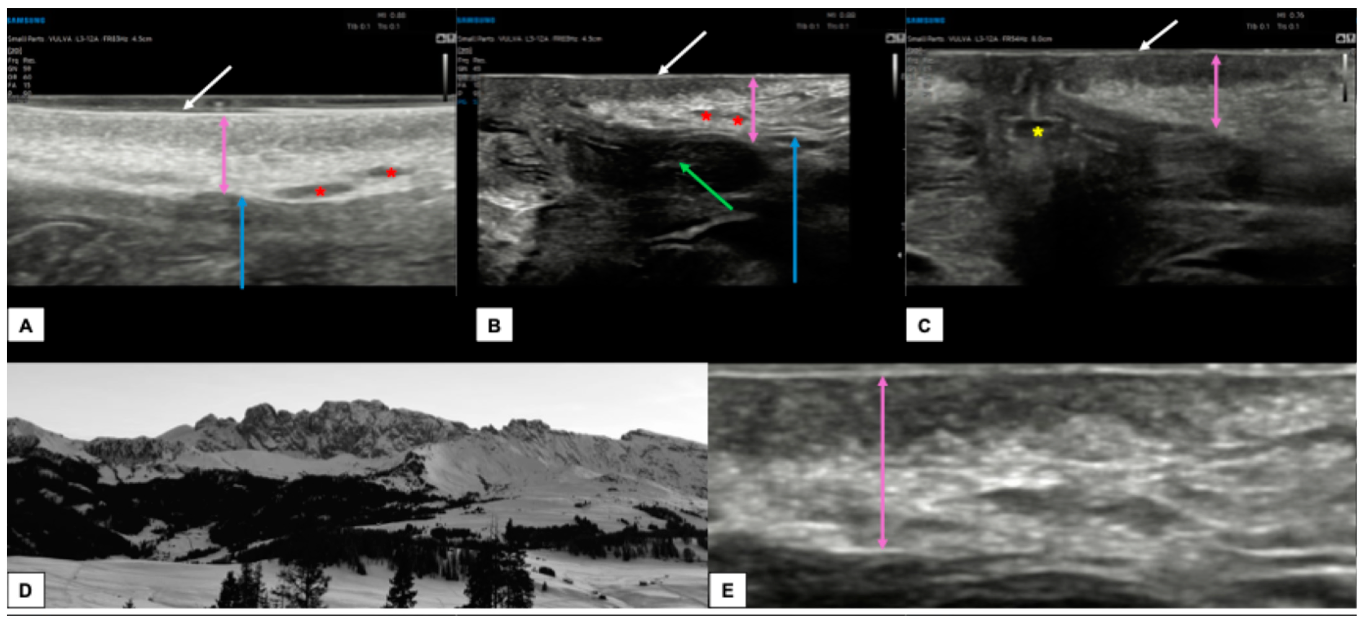 Diagnostics 15 00627 g004