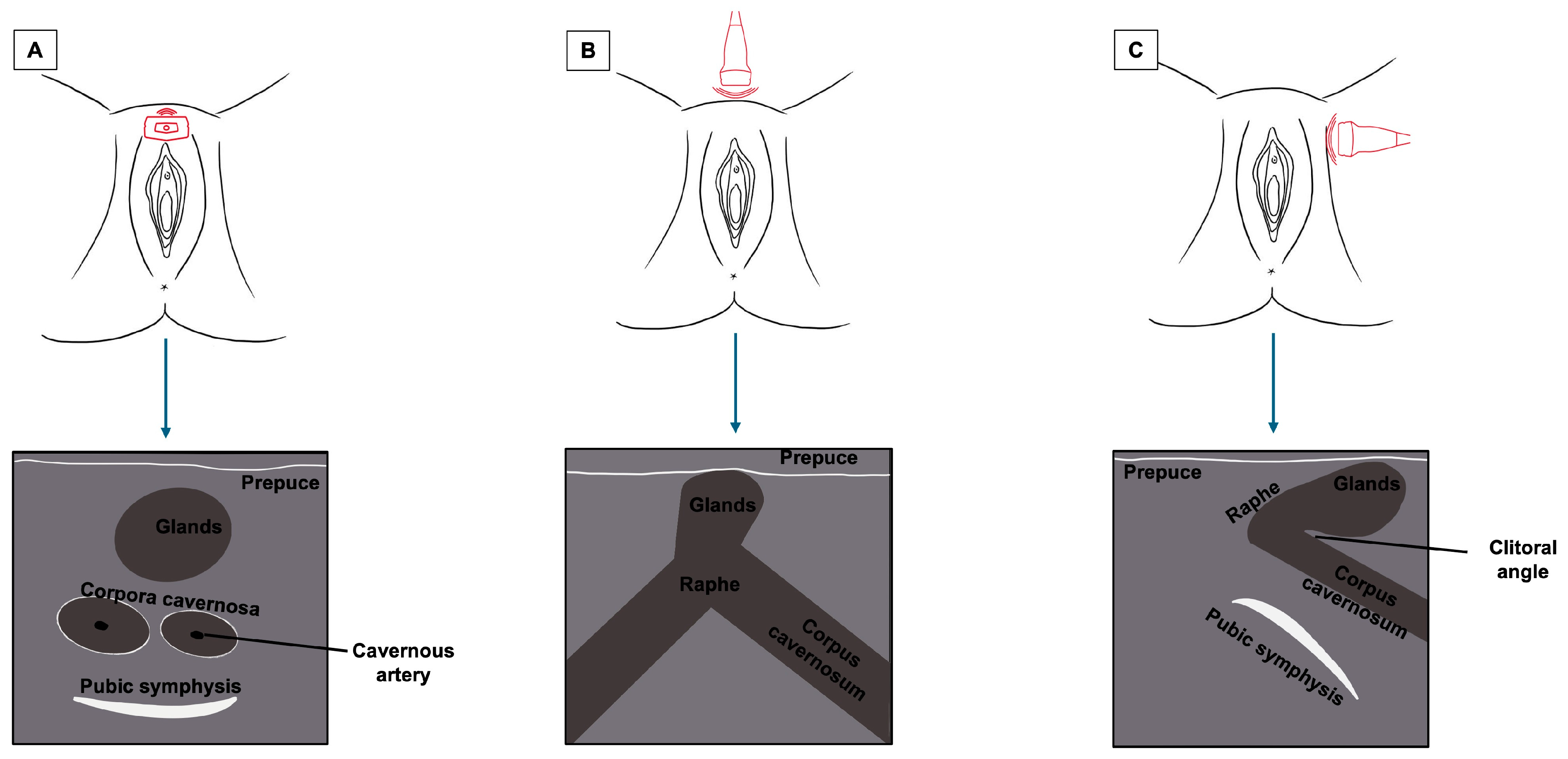 Diagnostics 15 00627 g005