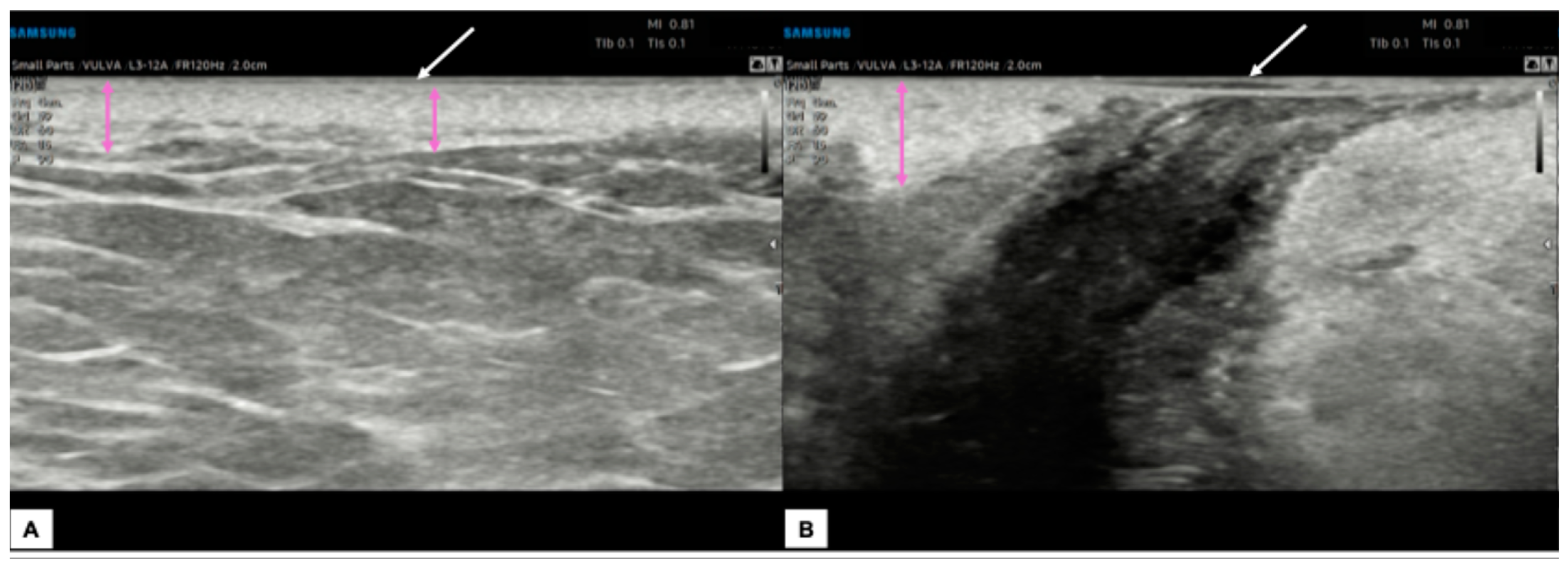 Diagnostics 15 00627 g008