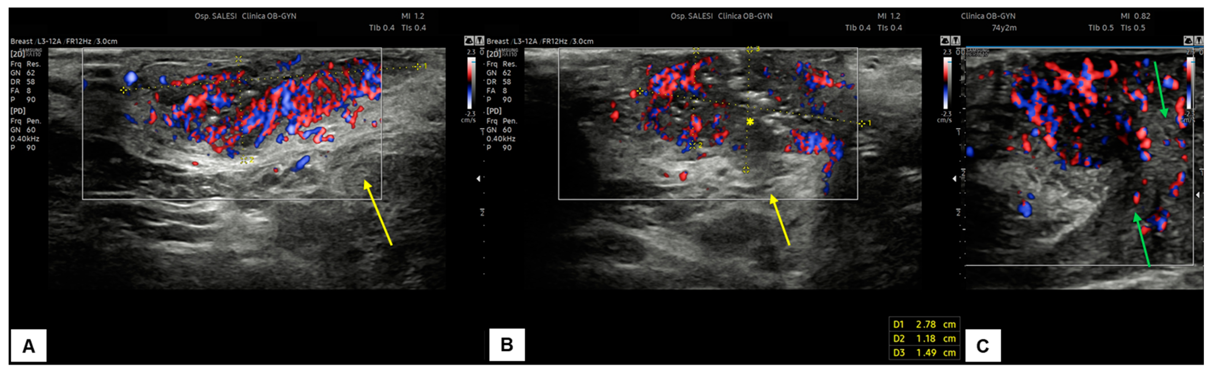 Diagnostics 15 00627 g012
