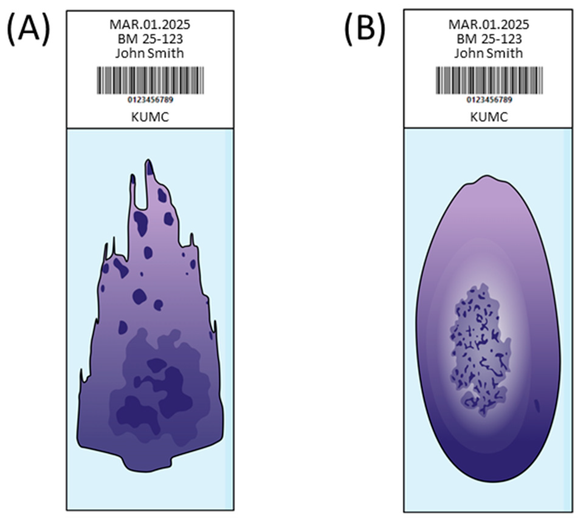 Diagnostics 15 00677 g001 Diagnostics 15 00677 g001