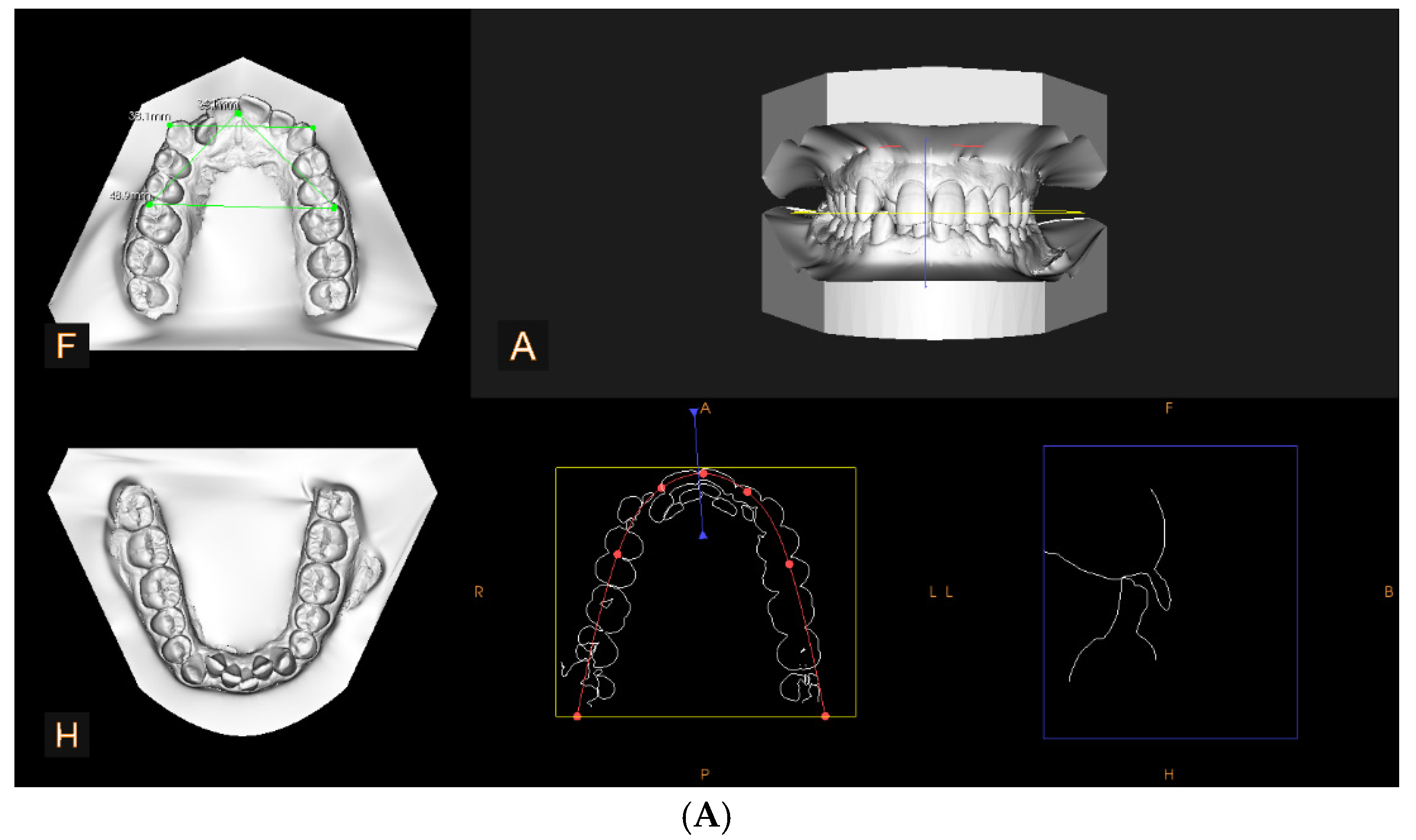 Diagnostics 15 00738 g001a