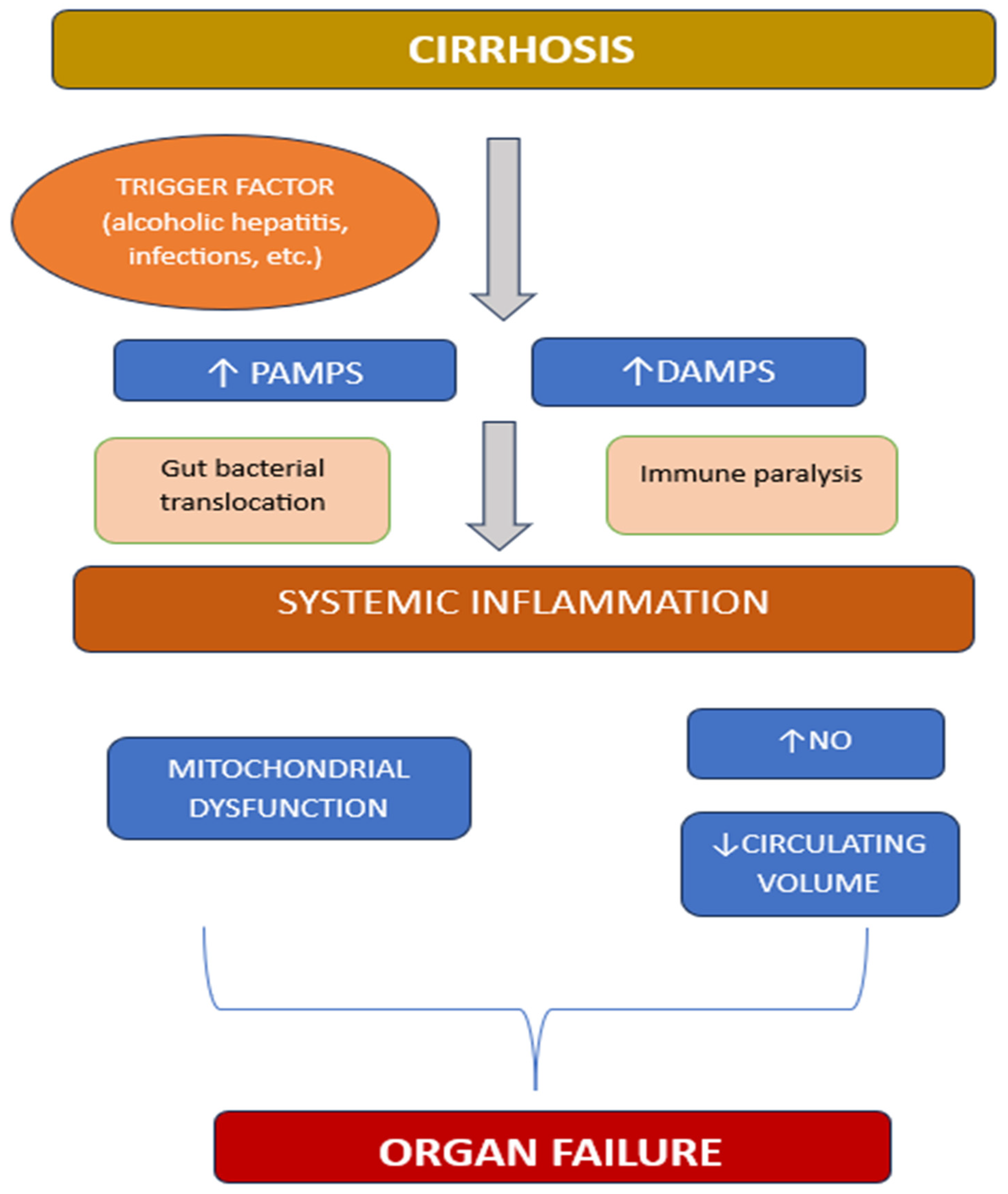 Diagnostics 15 00751 g001