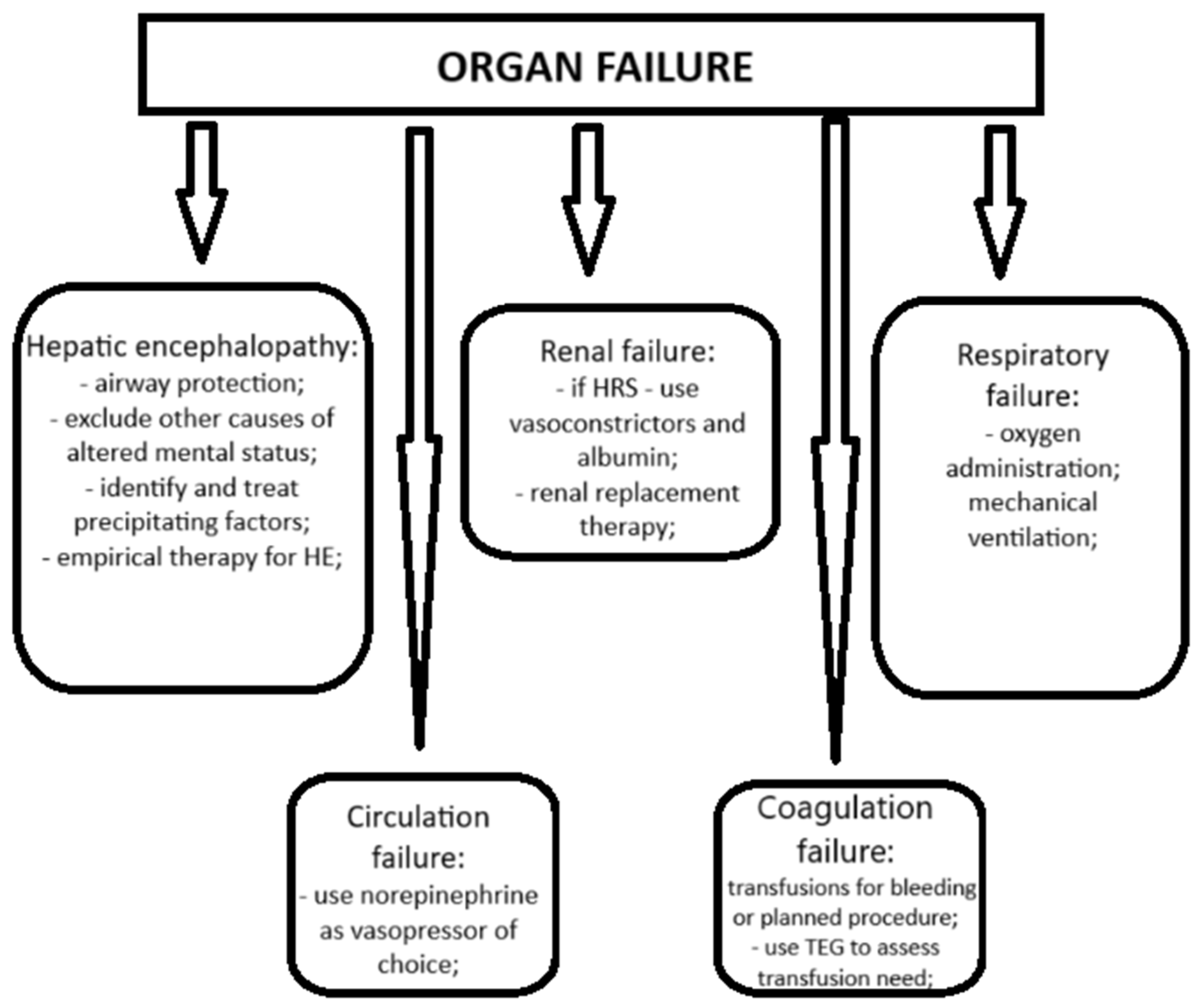 Diagnostics 15 00751 g002