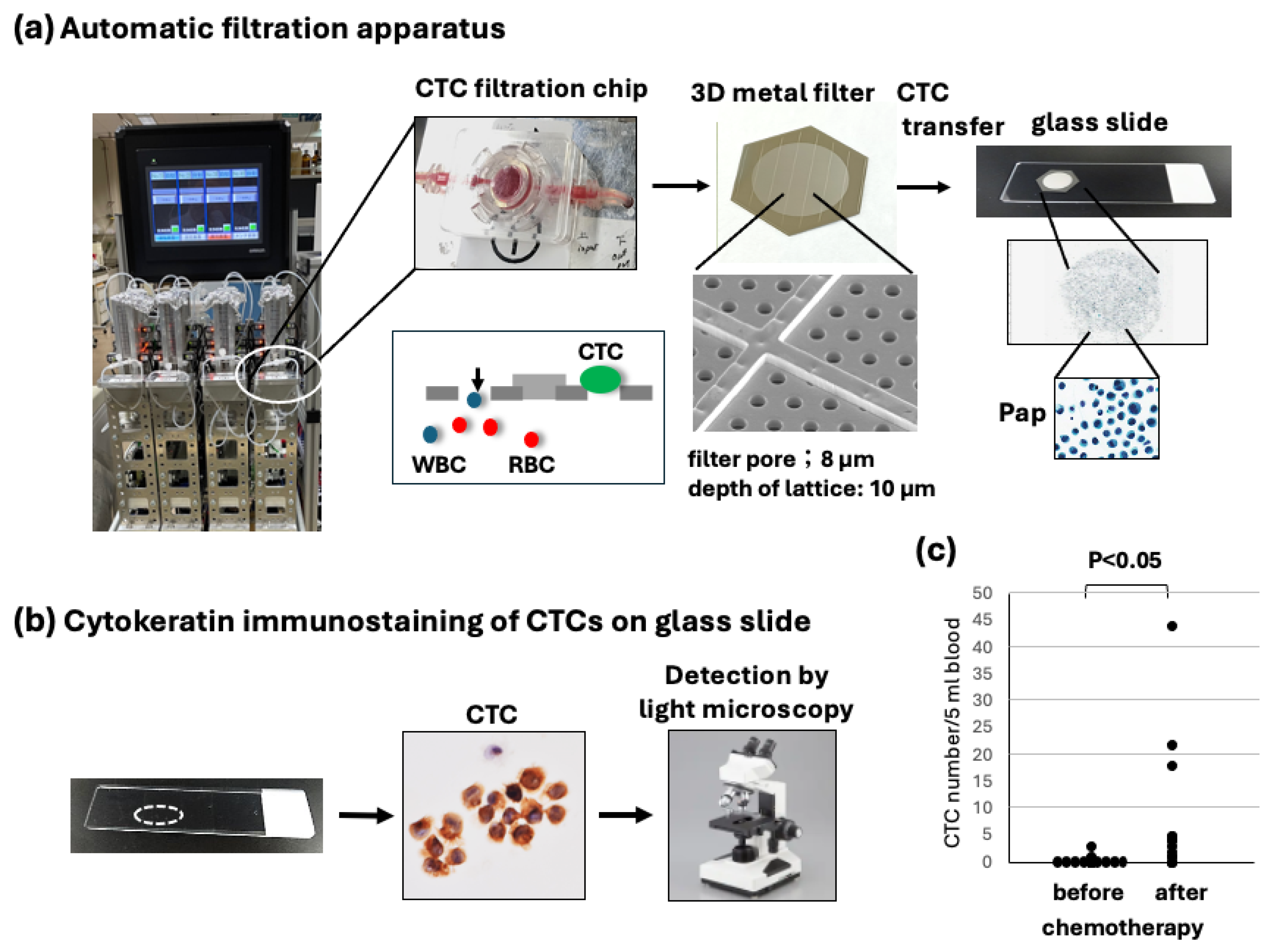 Diagnostics 15 00752 g001