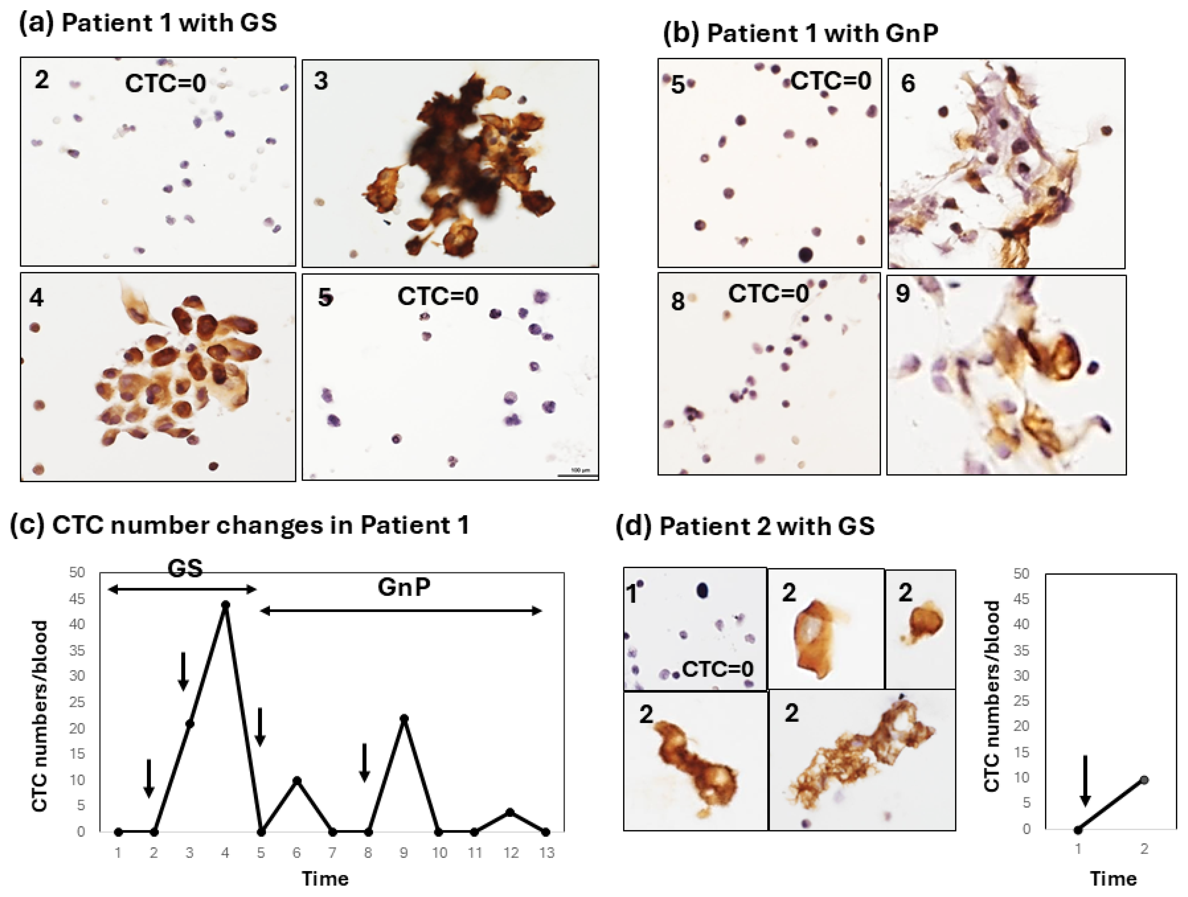 Diagnostics 15 00752 g002
