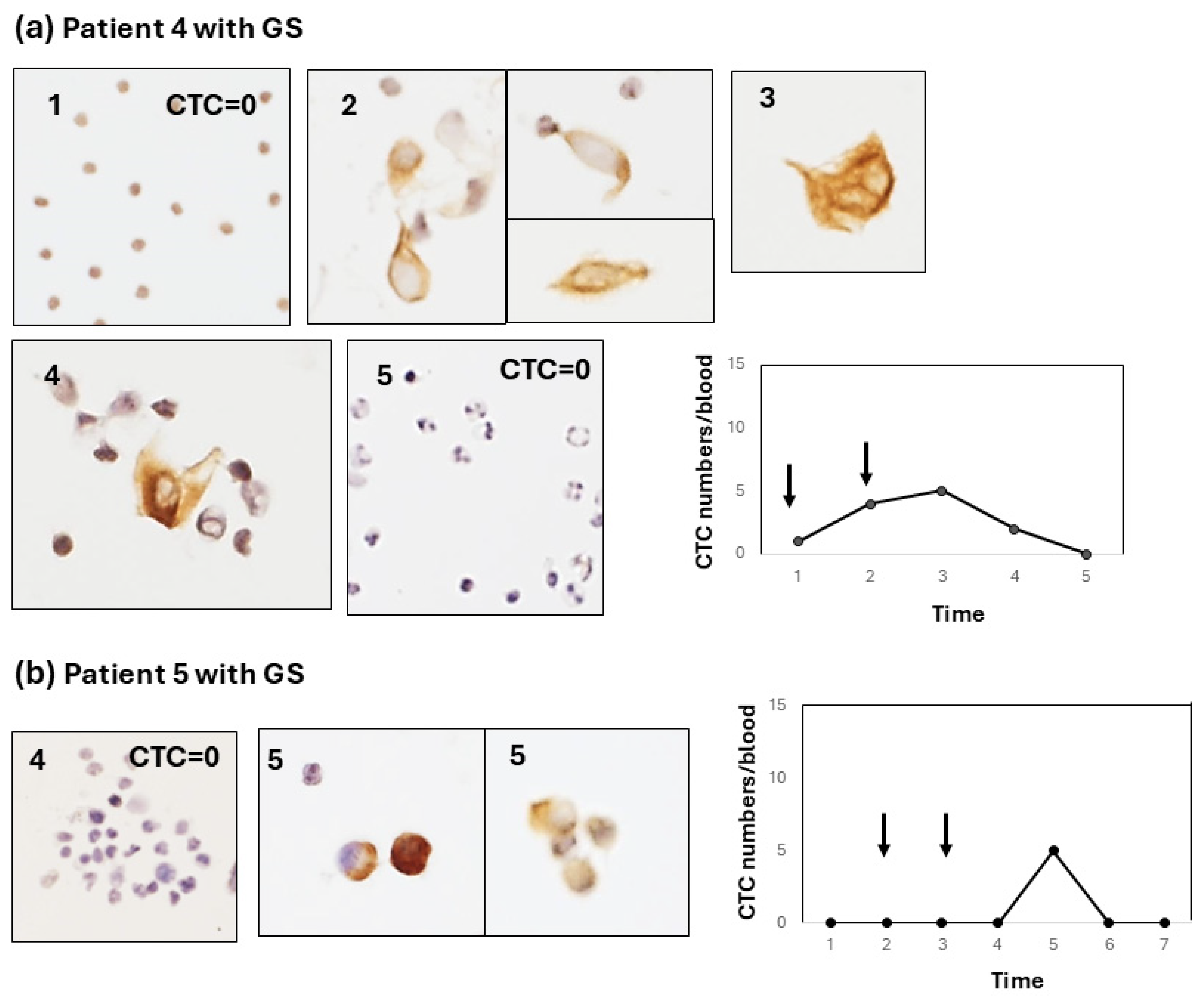 Diagnostics 15 00752 g003