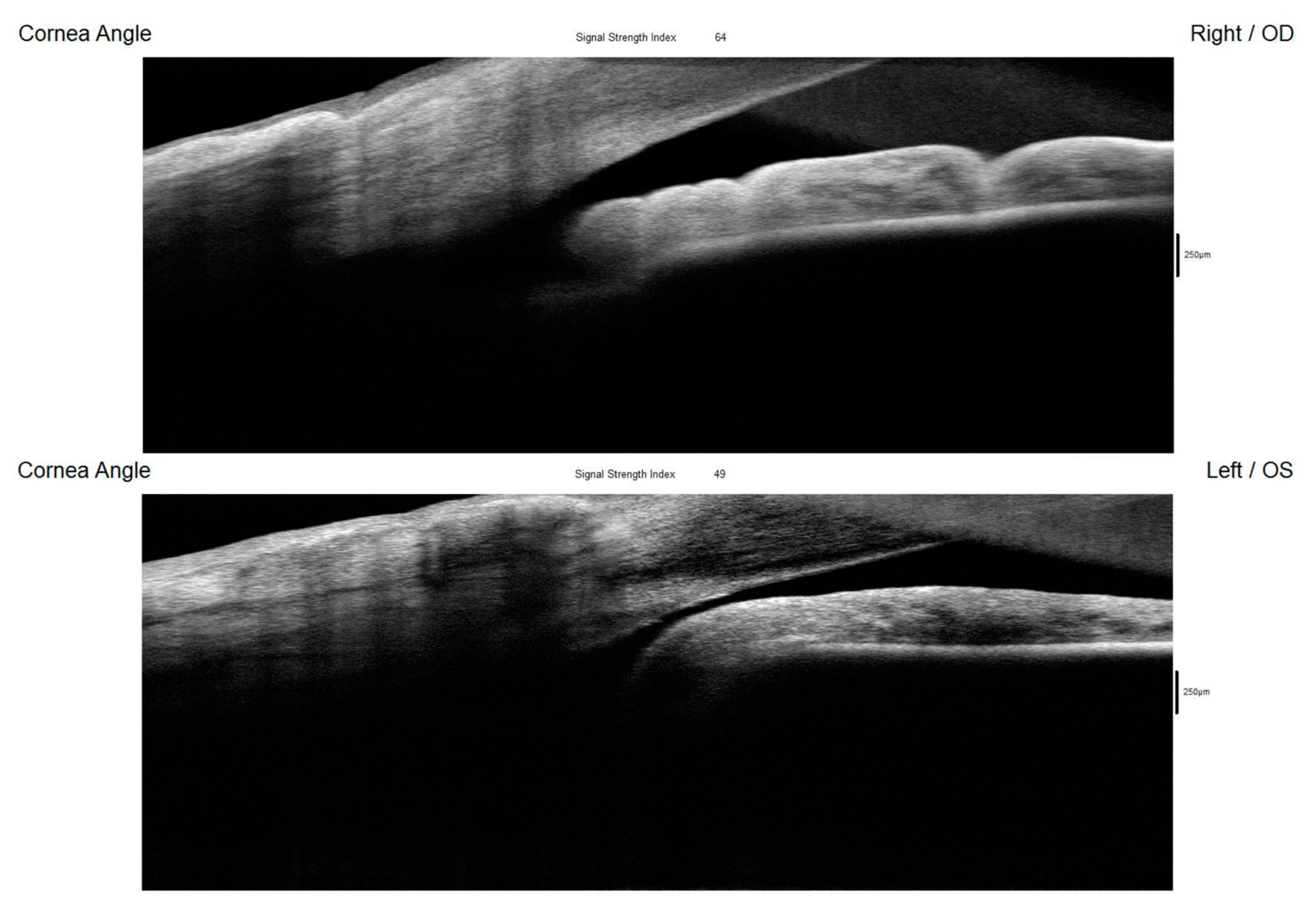 Diagnostics 15 00758 g005 Diagnostics 15 00758 g005