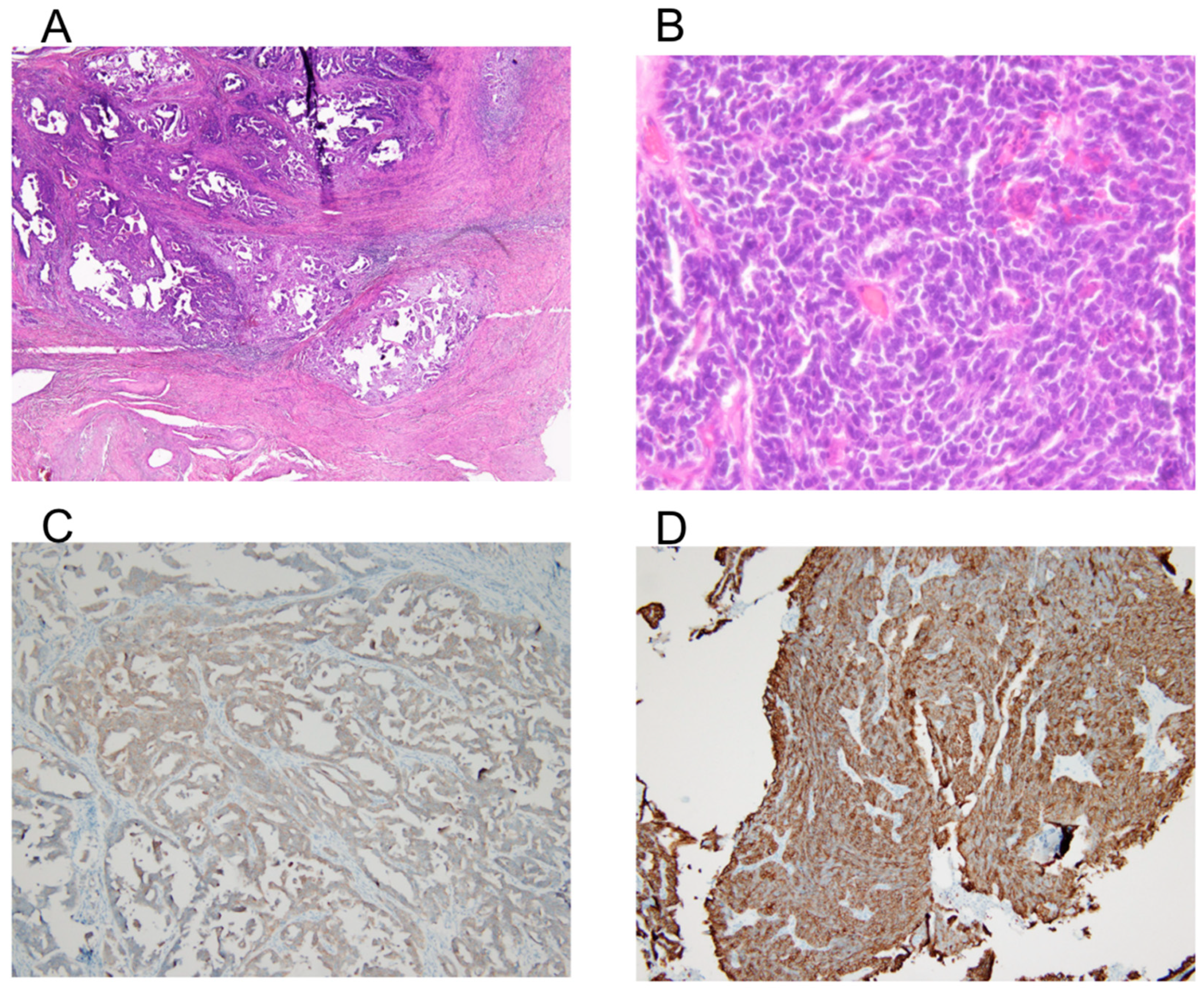 Diagnostics 15 00775 g003