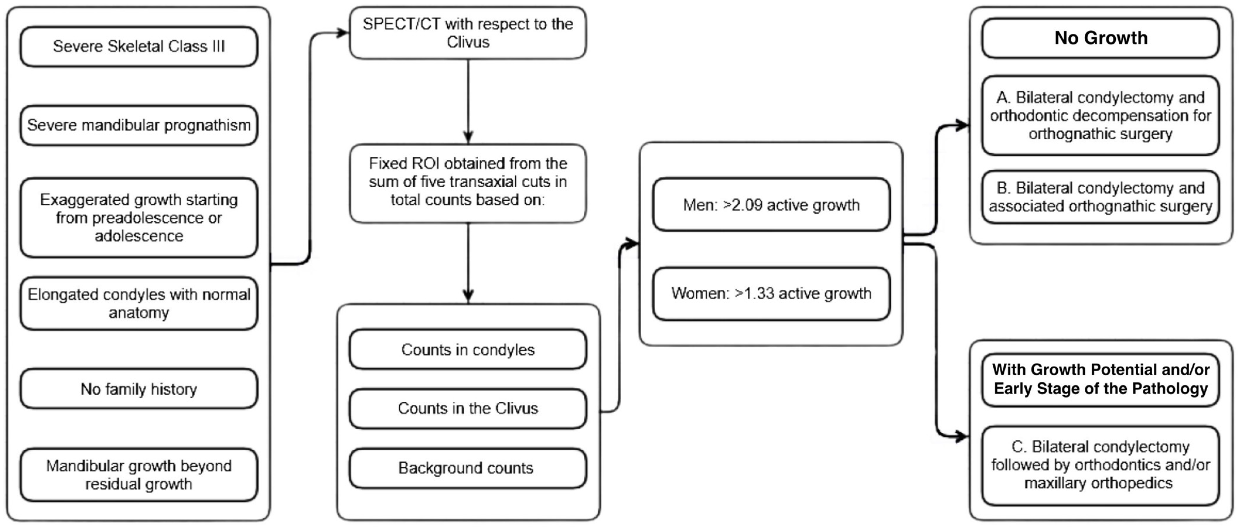 Diagnostics 15 00809 g001