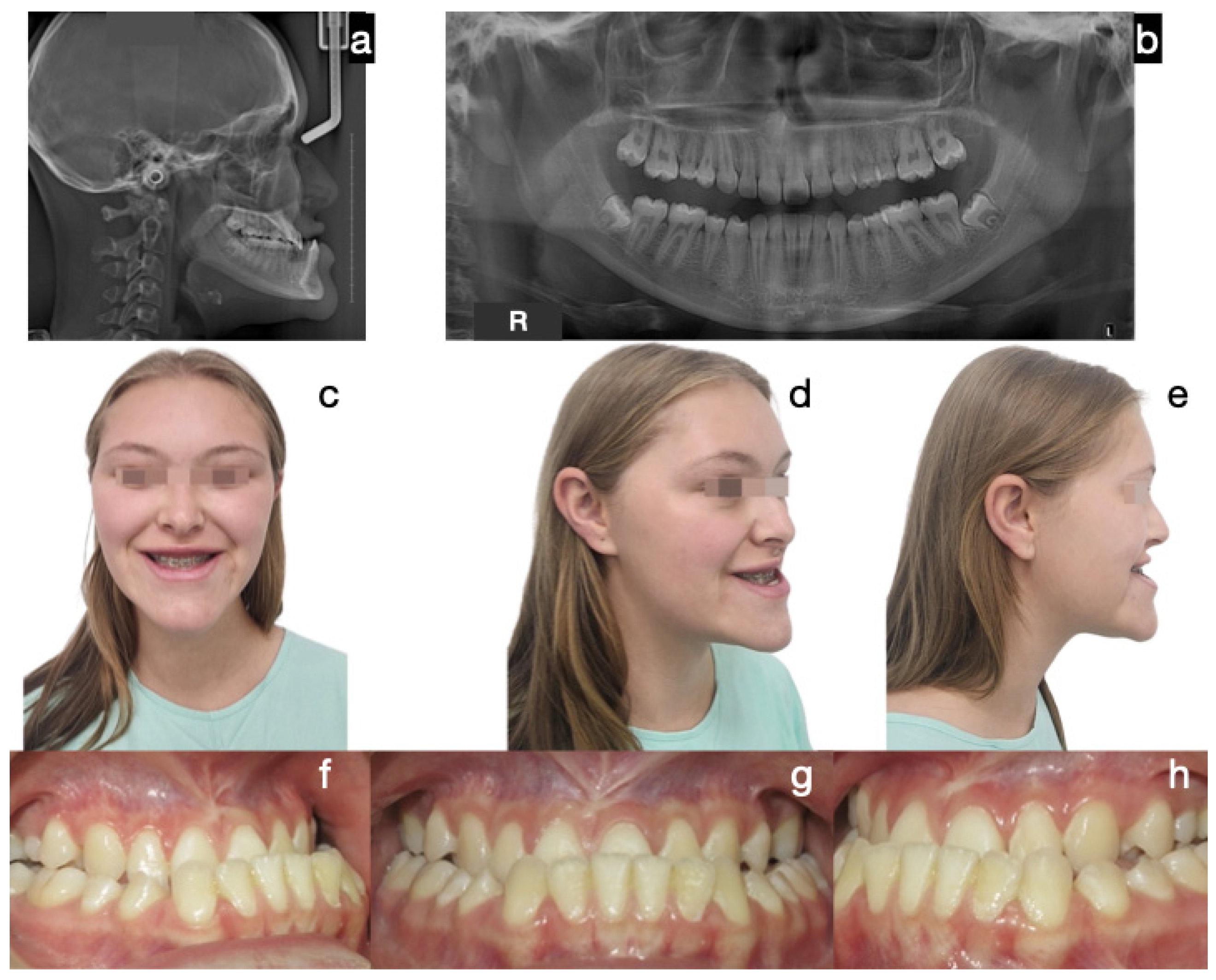 Diagnostics 15 00809 g002