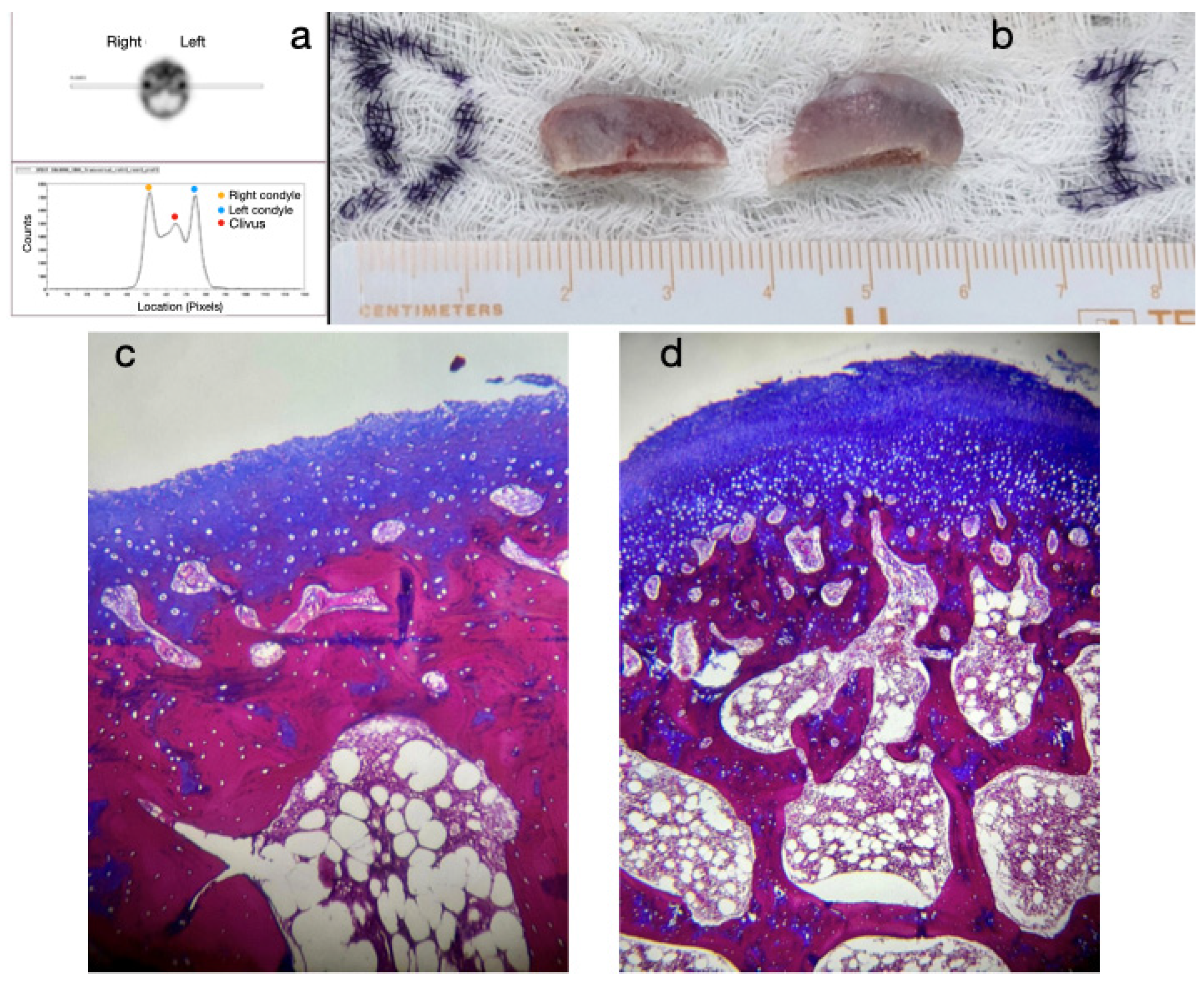 Diagnostics 15 00809 g003