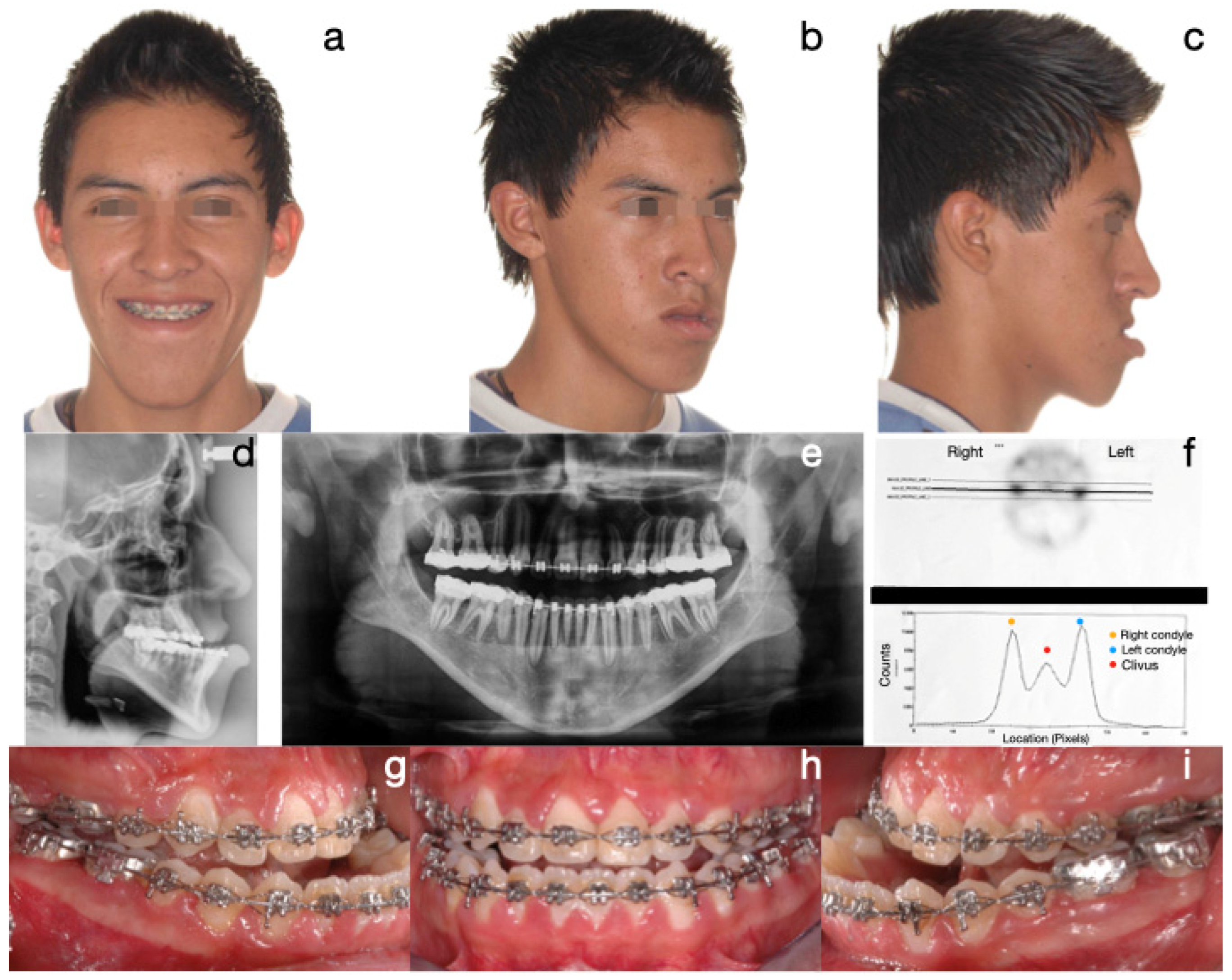 Diagnostics 15 00809 g005