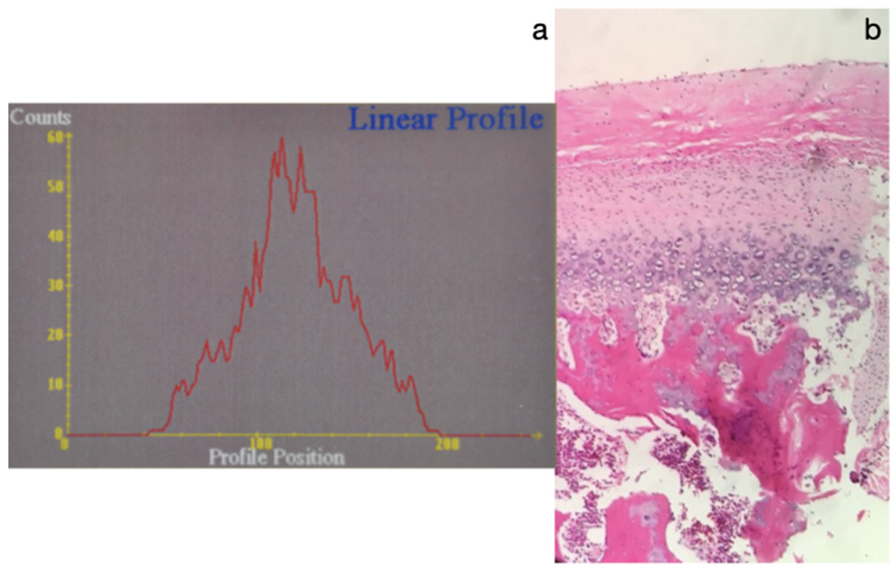 Diagnostics 15 00809 g008
