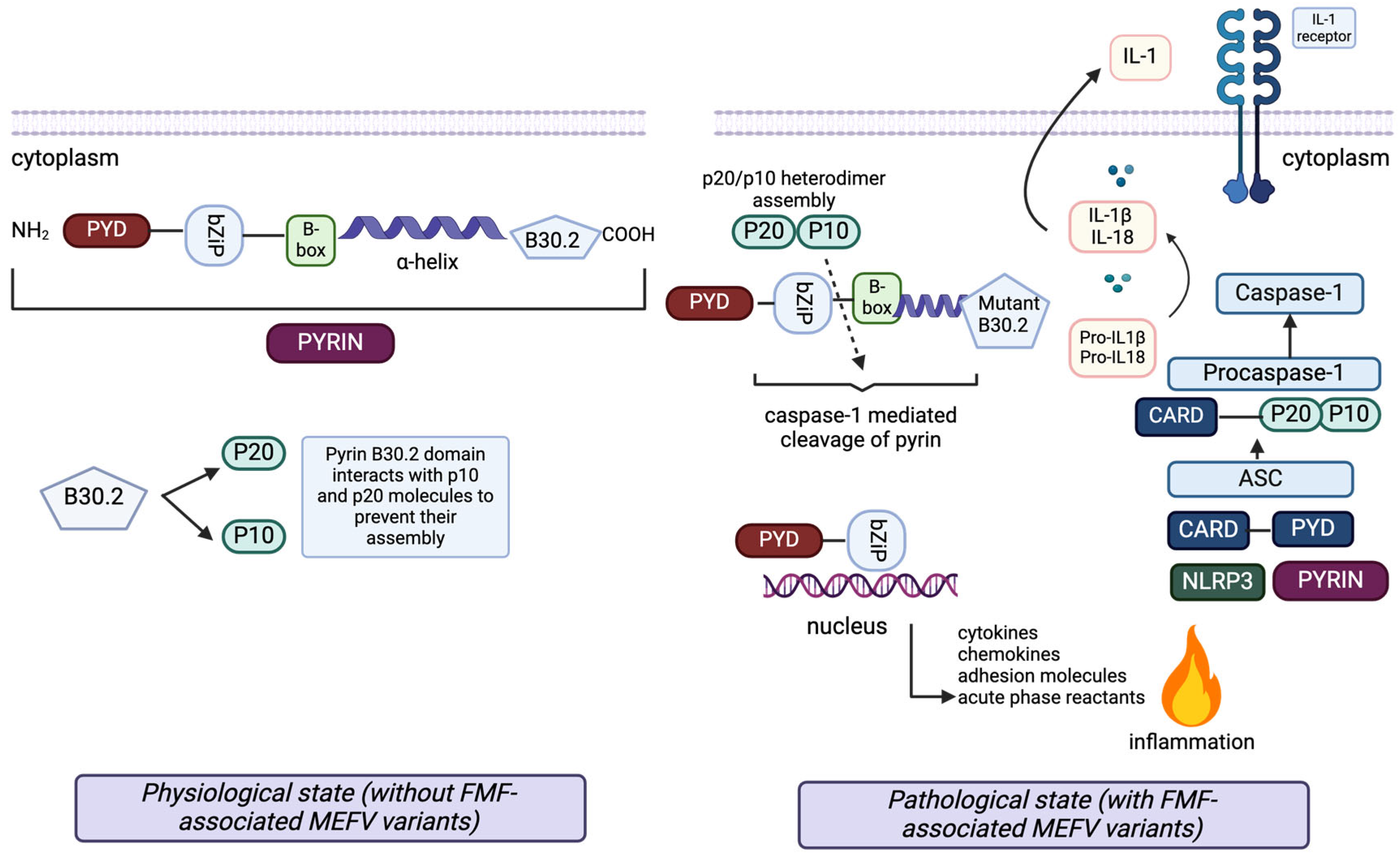 Diagnostics 15 00813 g001 Diagnostics 15 00813 g001