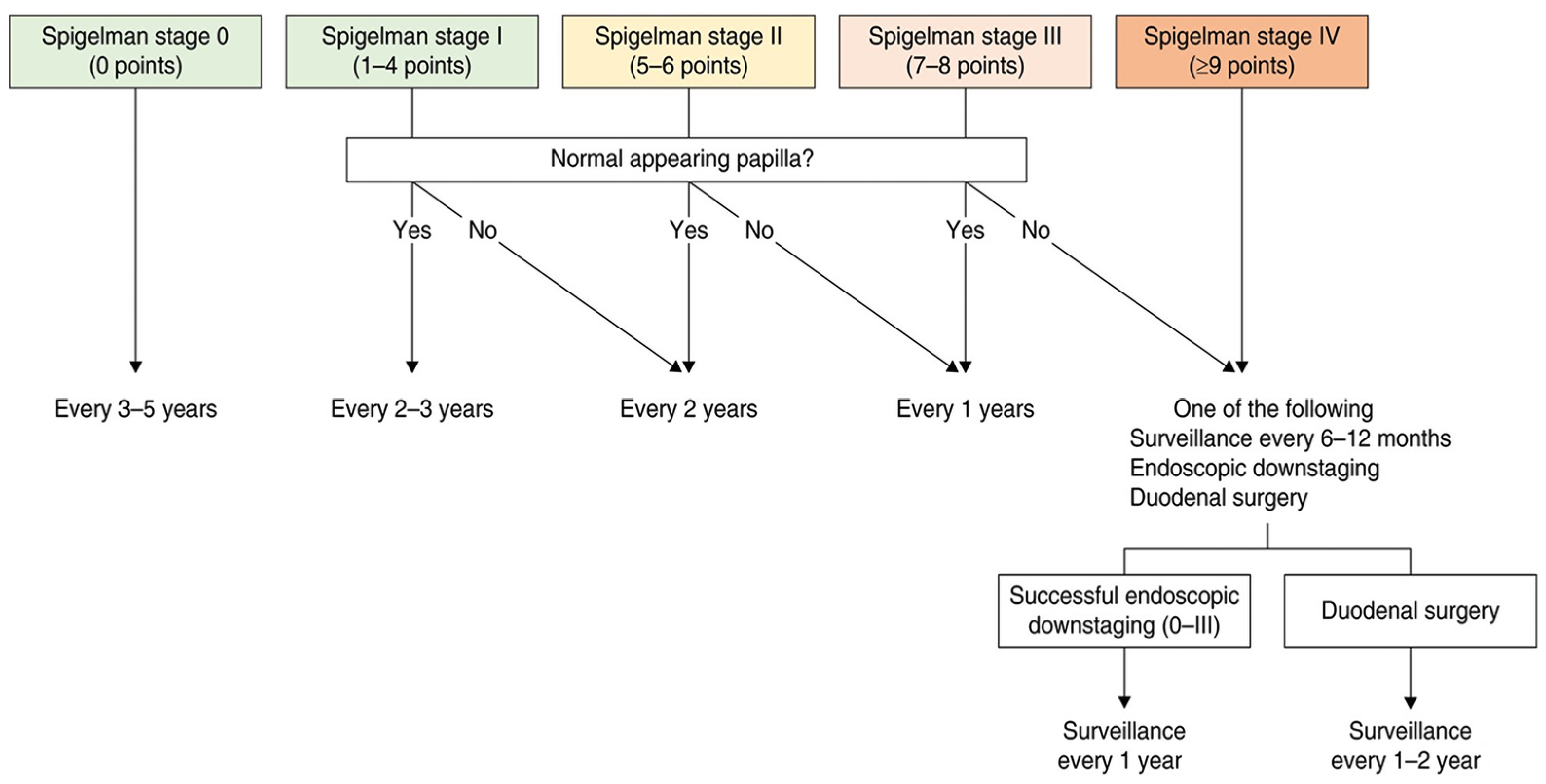 Diagnostics 15 00819 g002