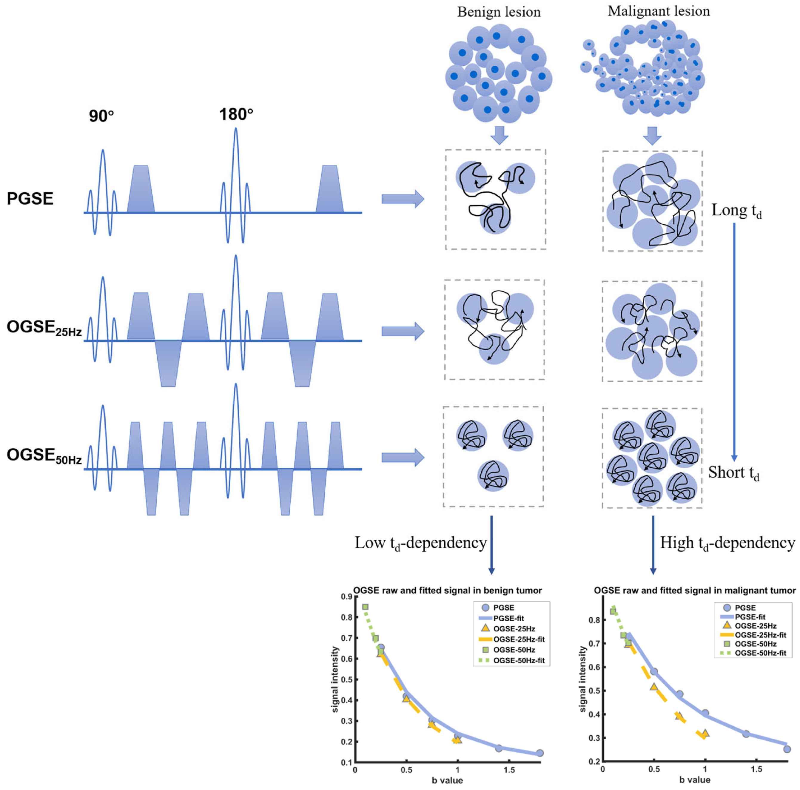 Diagnostics 15 00823 g001