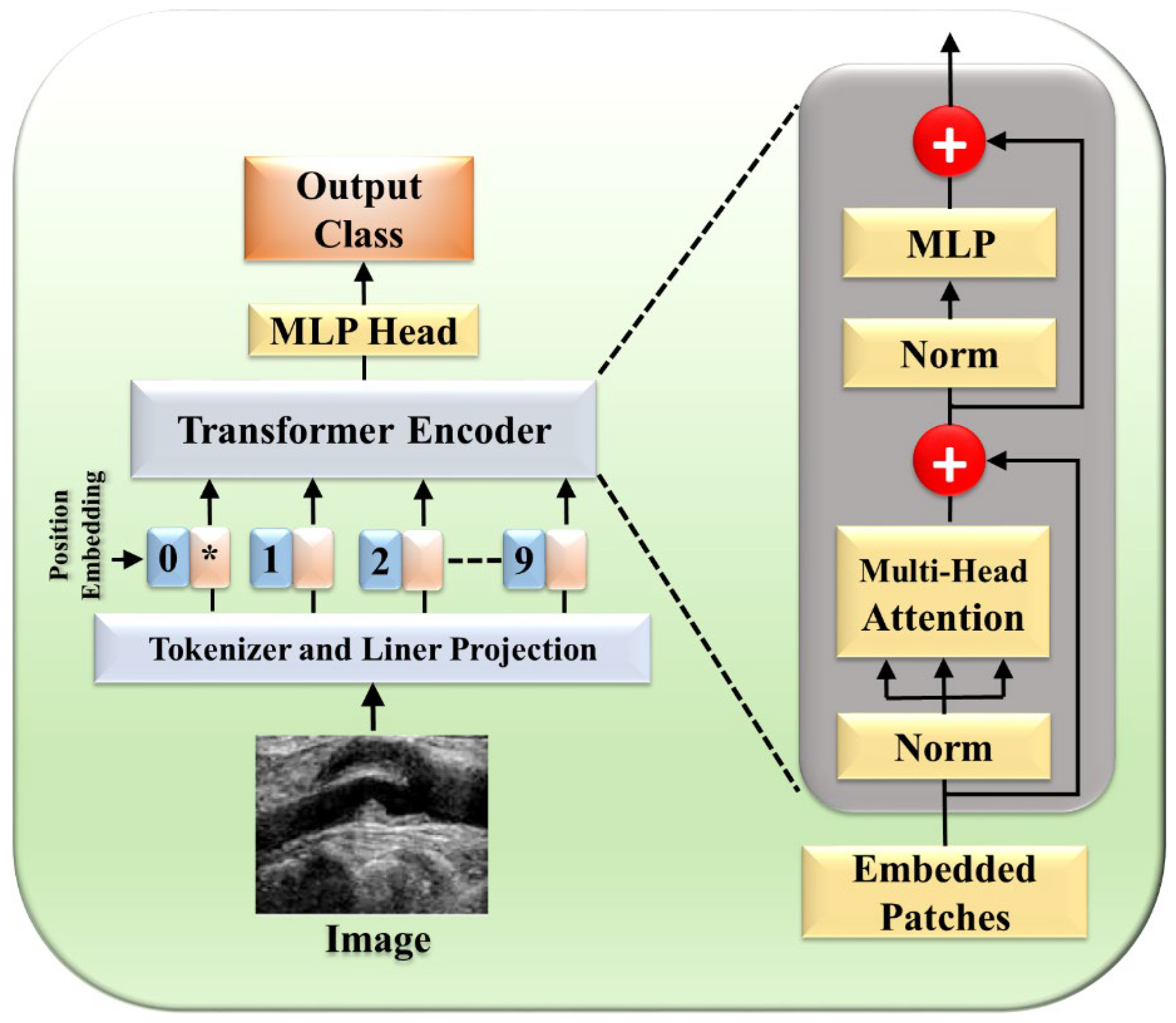 Diagnostics 15 00848 g011