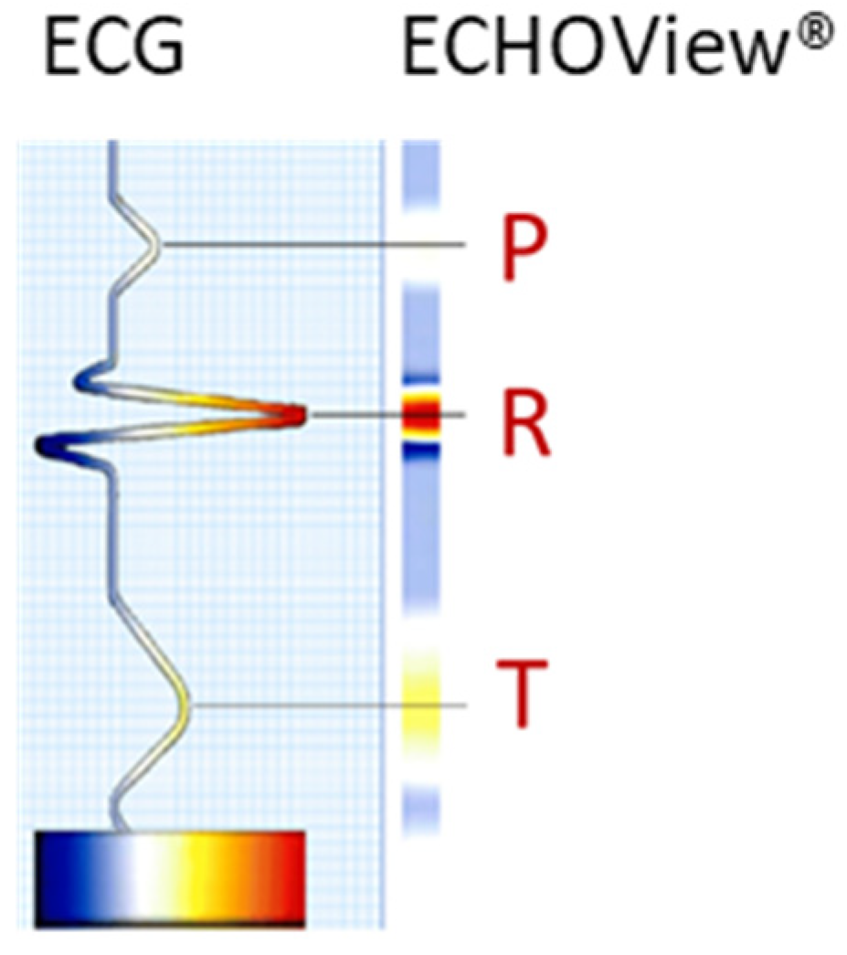 Diagnostics 15 00865 g001