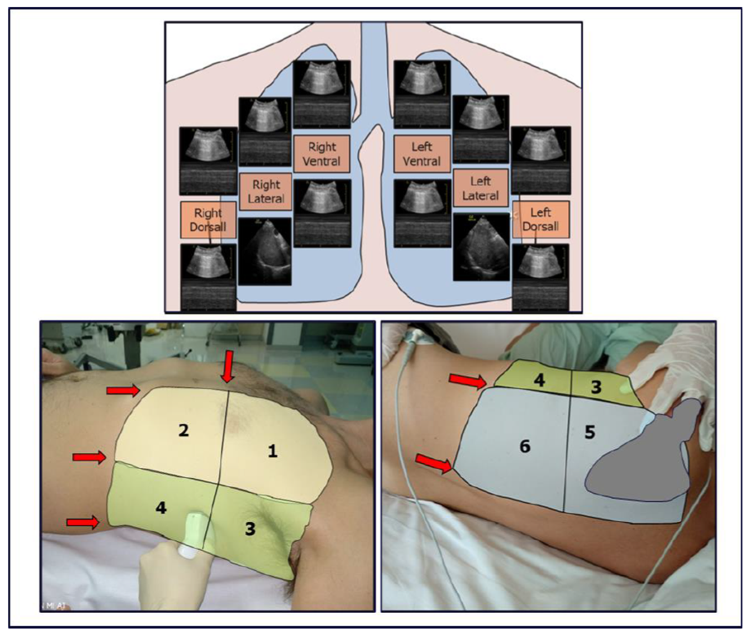 Diagnostics 15 00870 g002