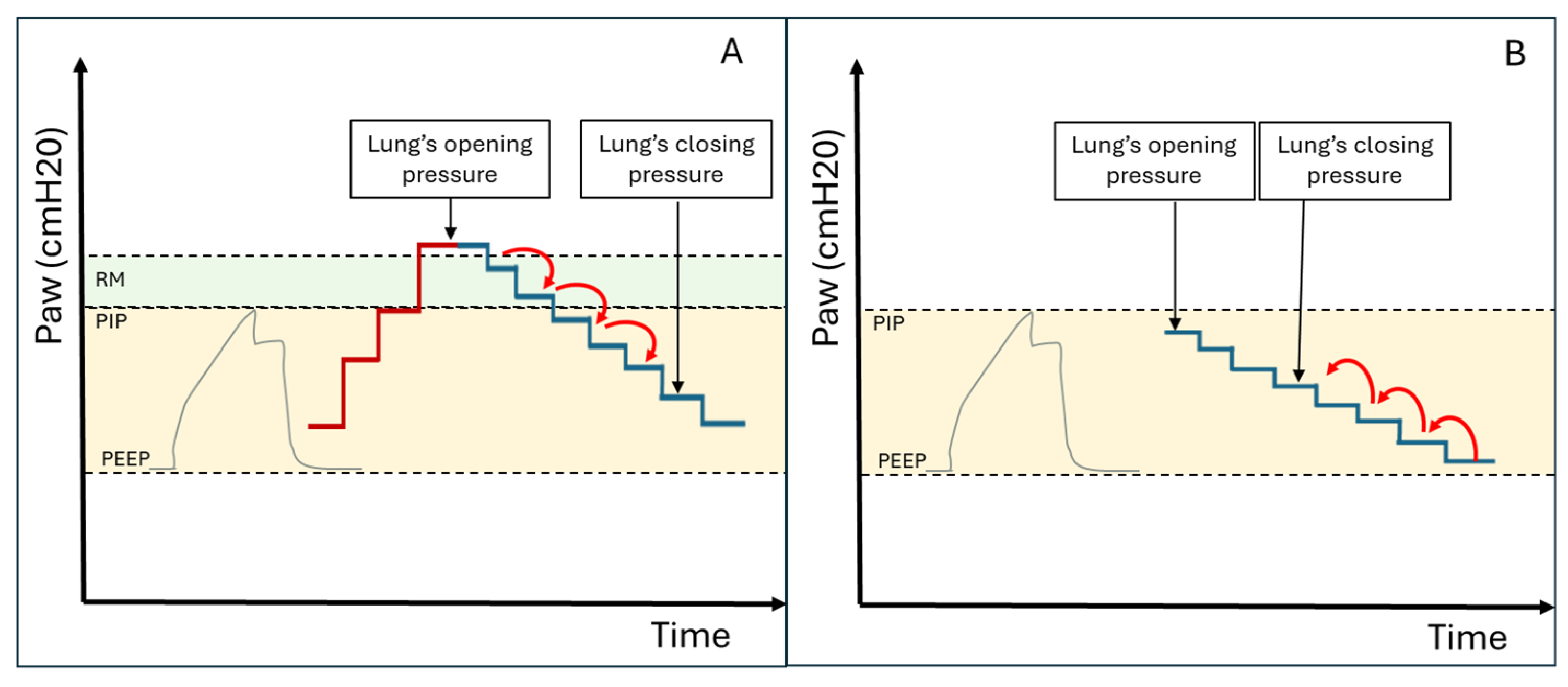 Diagnostics 15 00870 g004