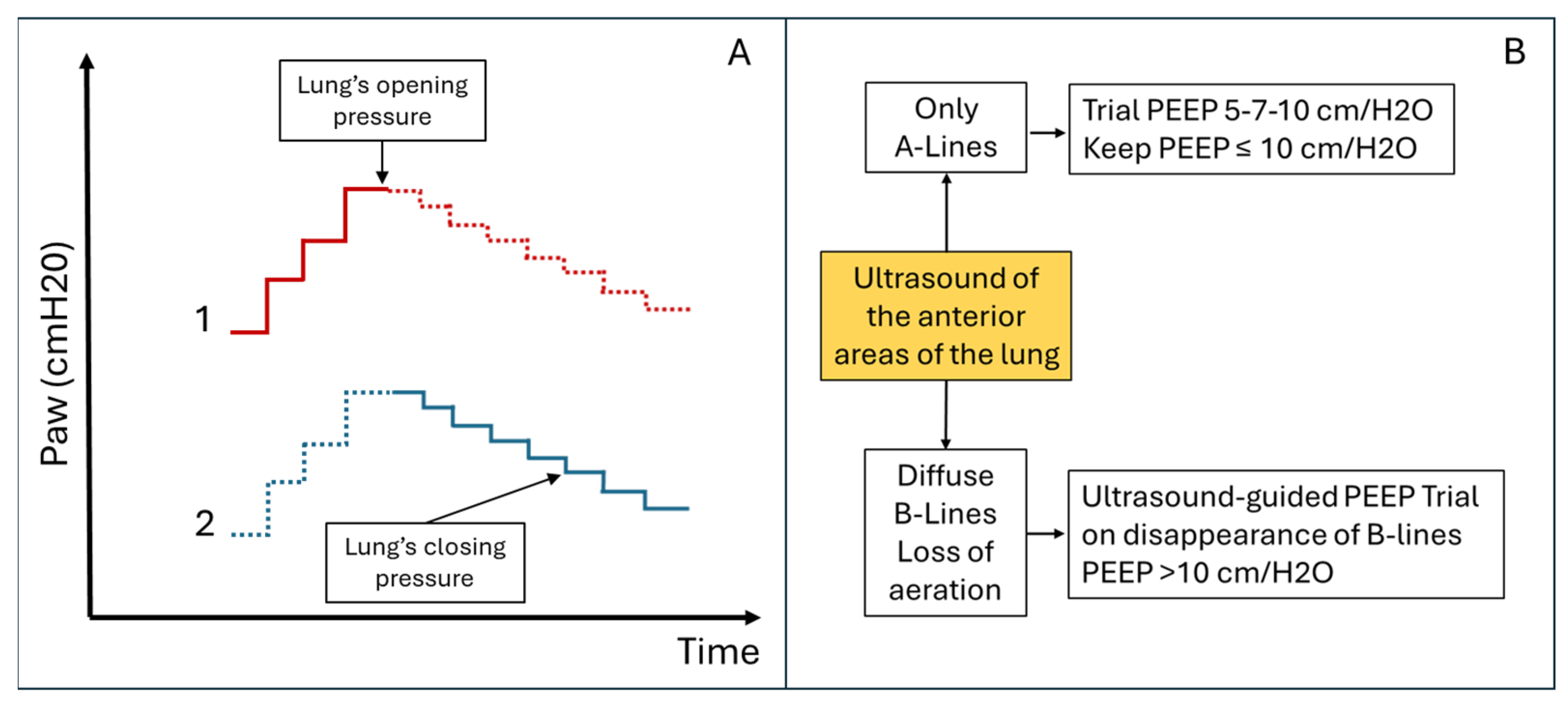Diagnostics 15 00870 g005