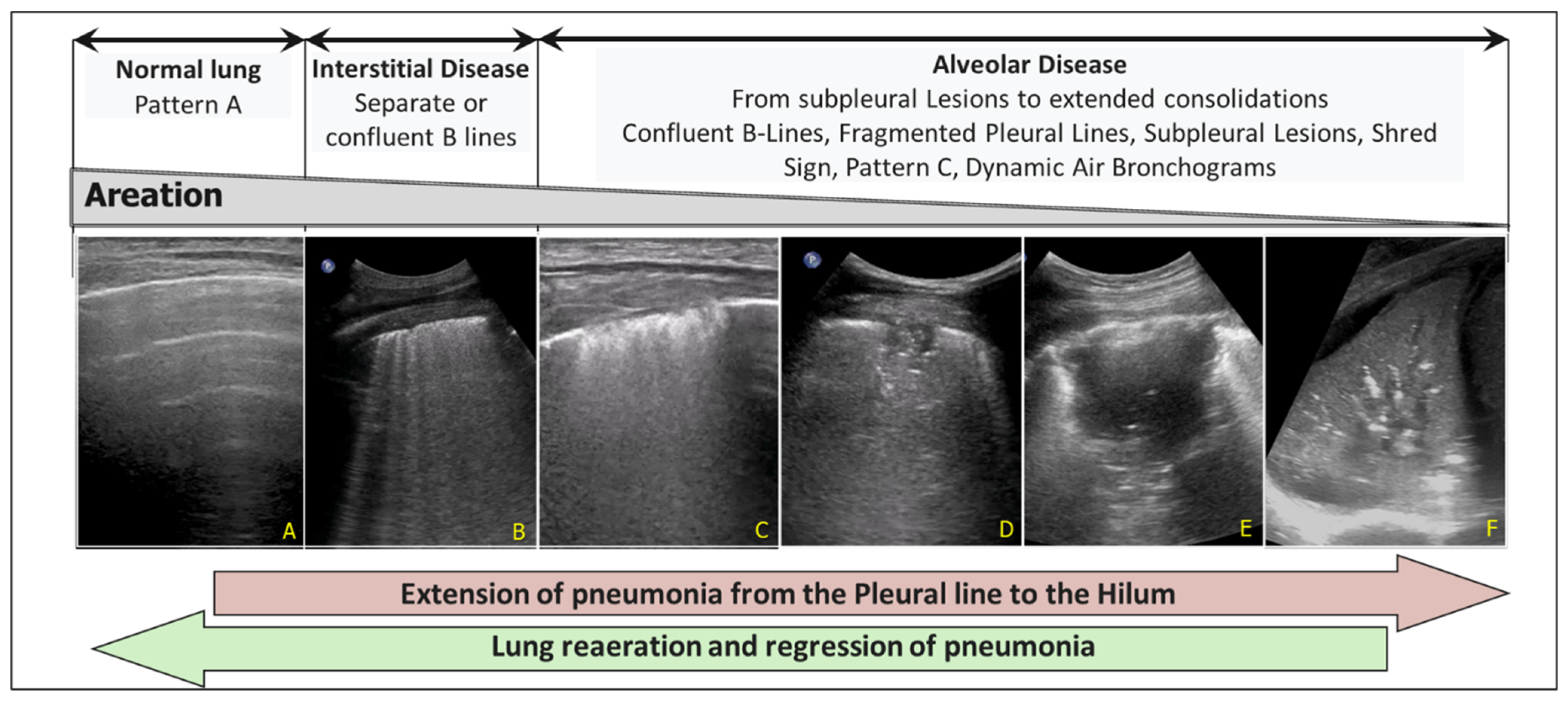 Diagnostics 15 00870 g006