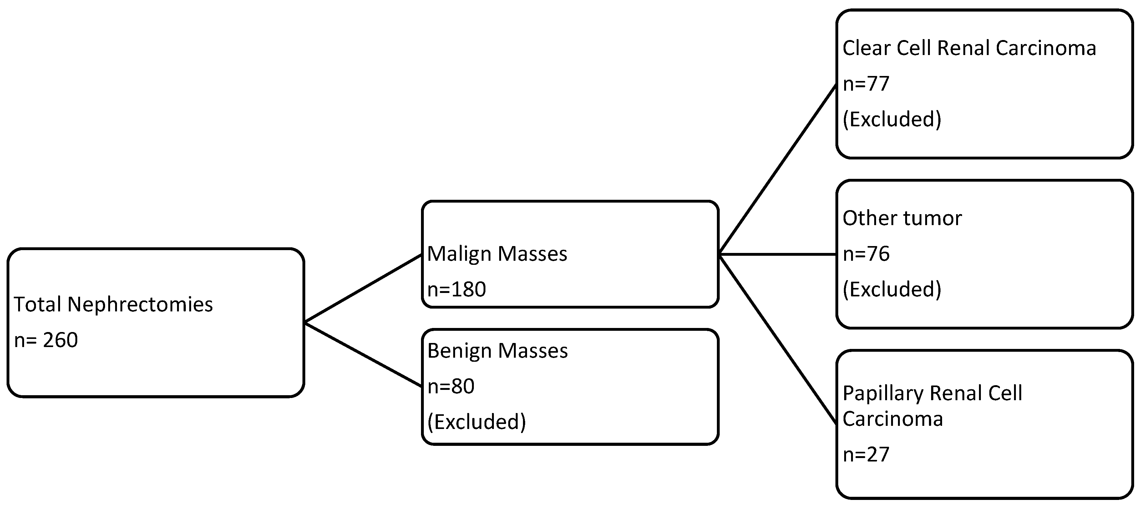 Diagnostics 15 00906 g001