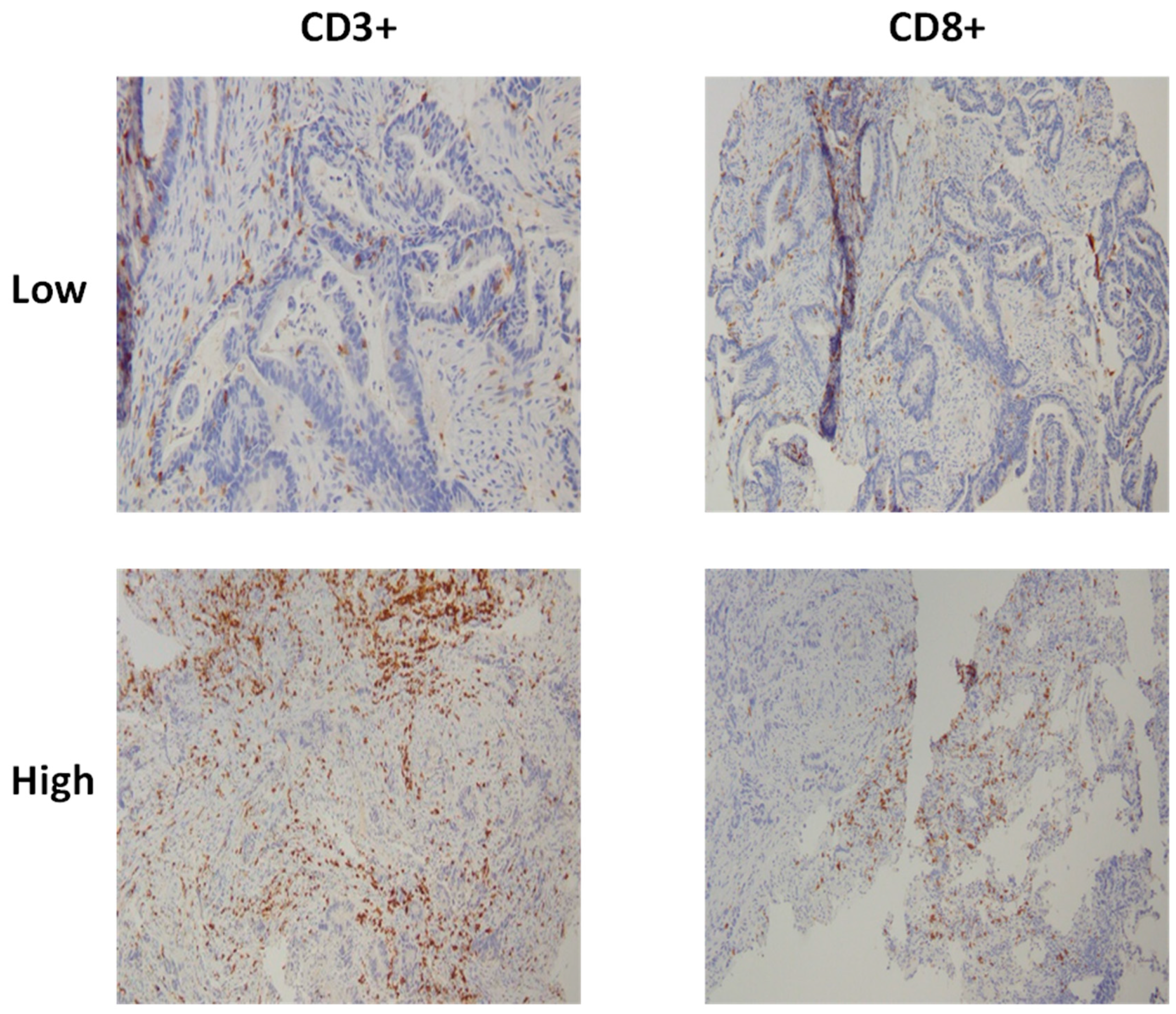 Diagnostics 15 00913 g006
