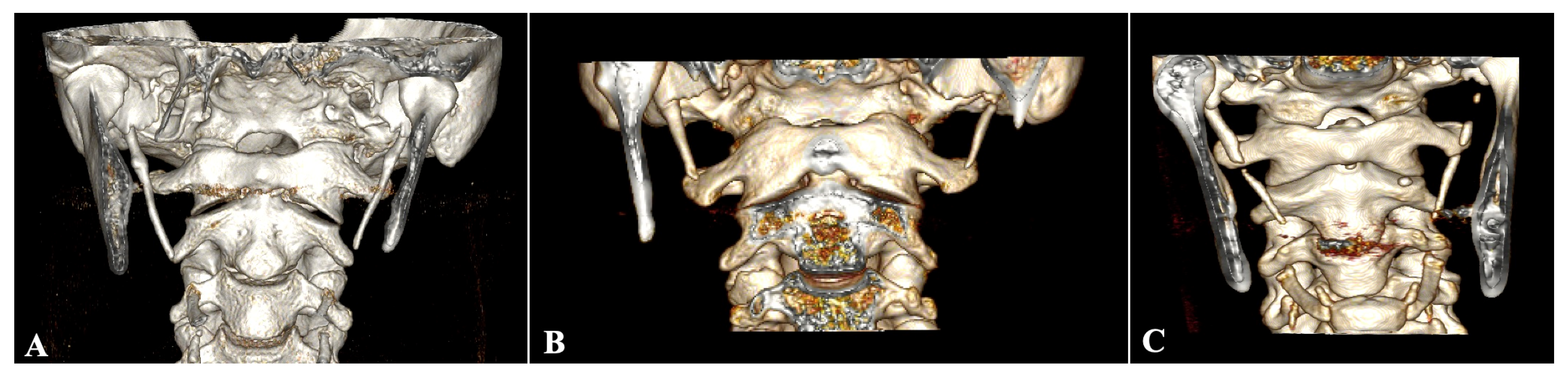 Diagnostics 15 00925 g002