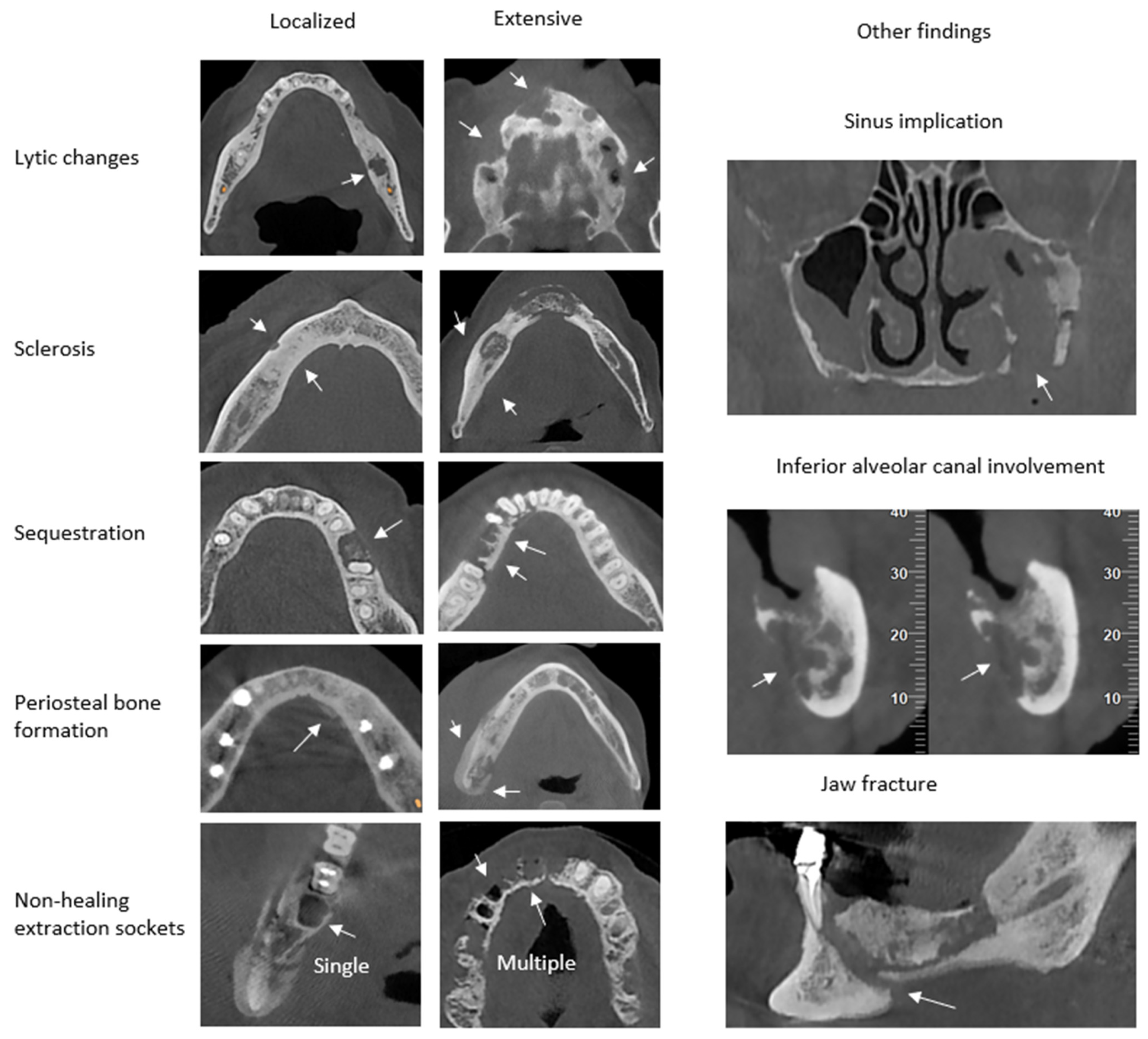 Diagnostics 15 00926 g001