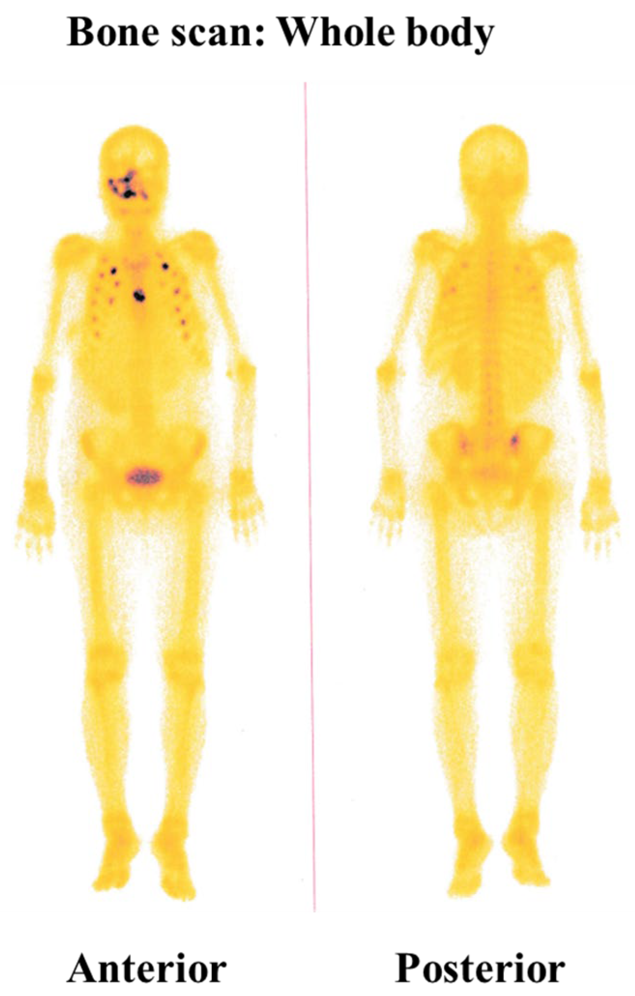 Diagnostics 15 00938 g003 Diagnostics 15 00938 g003