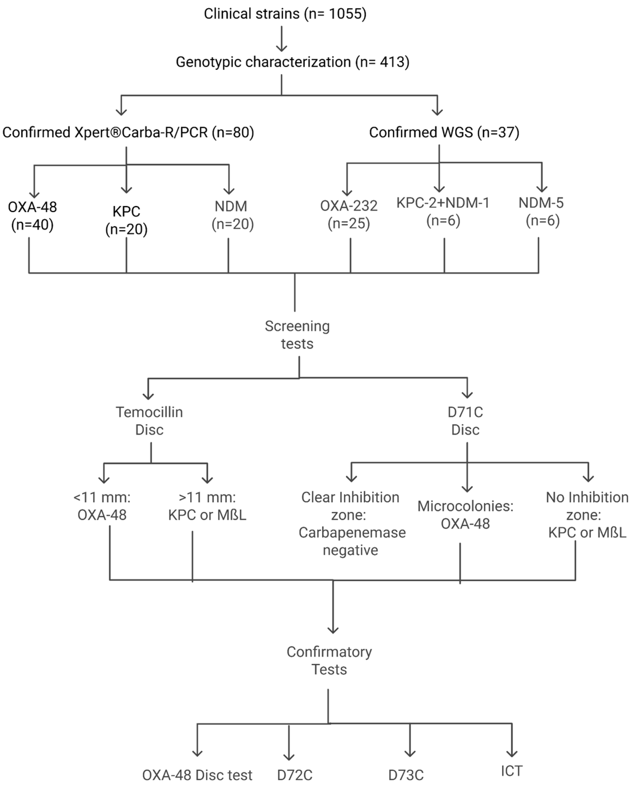 Diagnostics 15 00949 g001