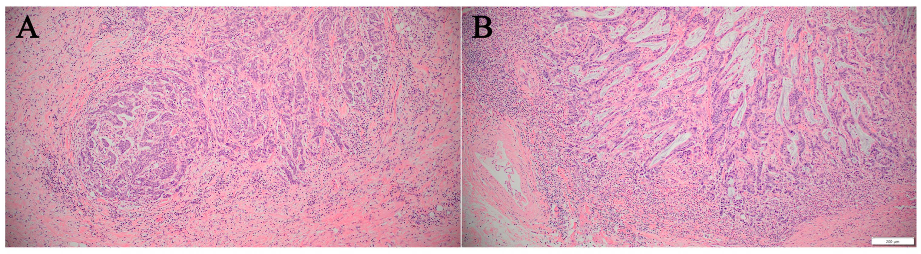 Diagnostics 15 00972 g002