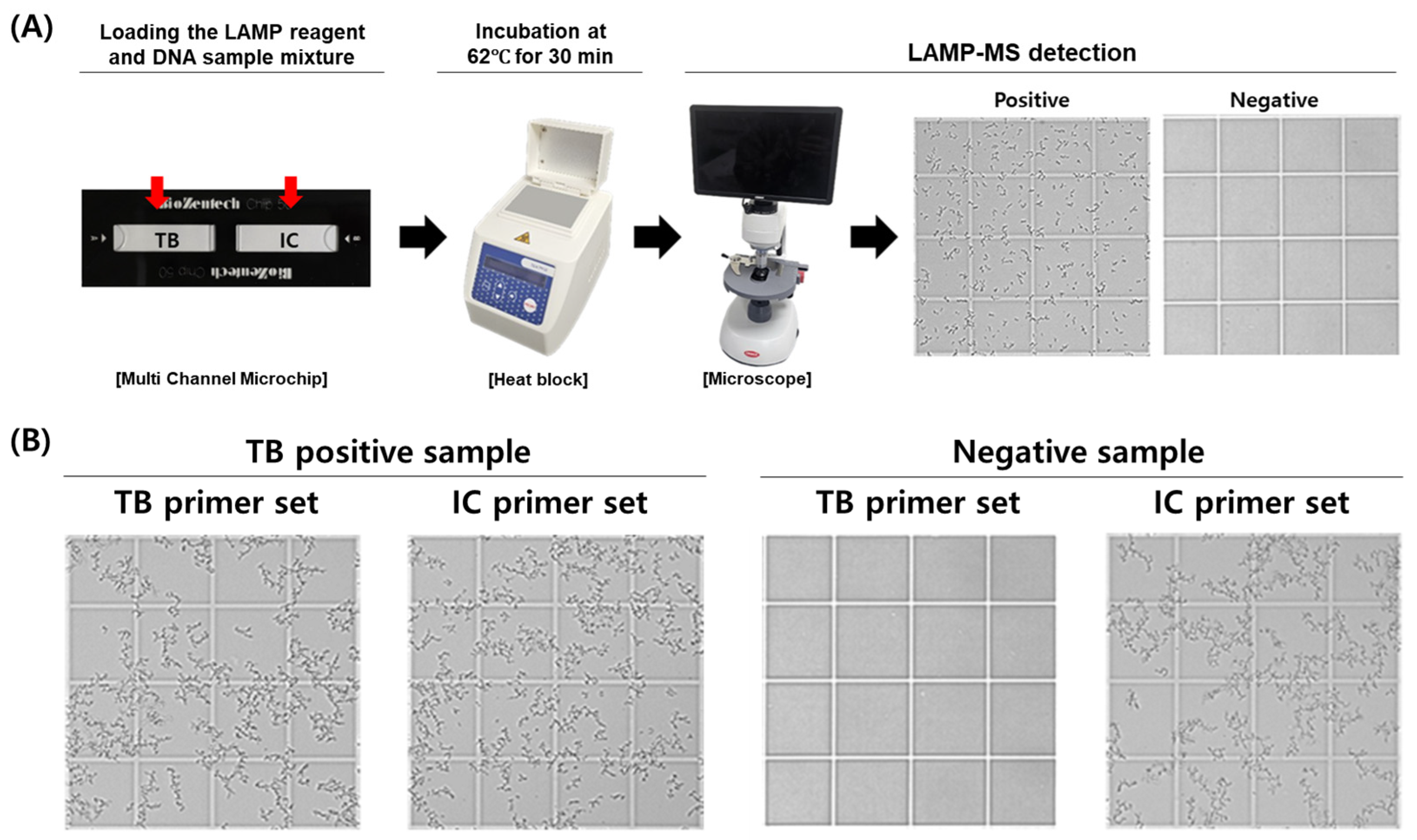 Diagnostics 15 00996 g001